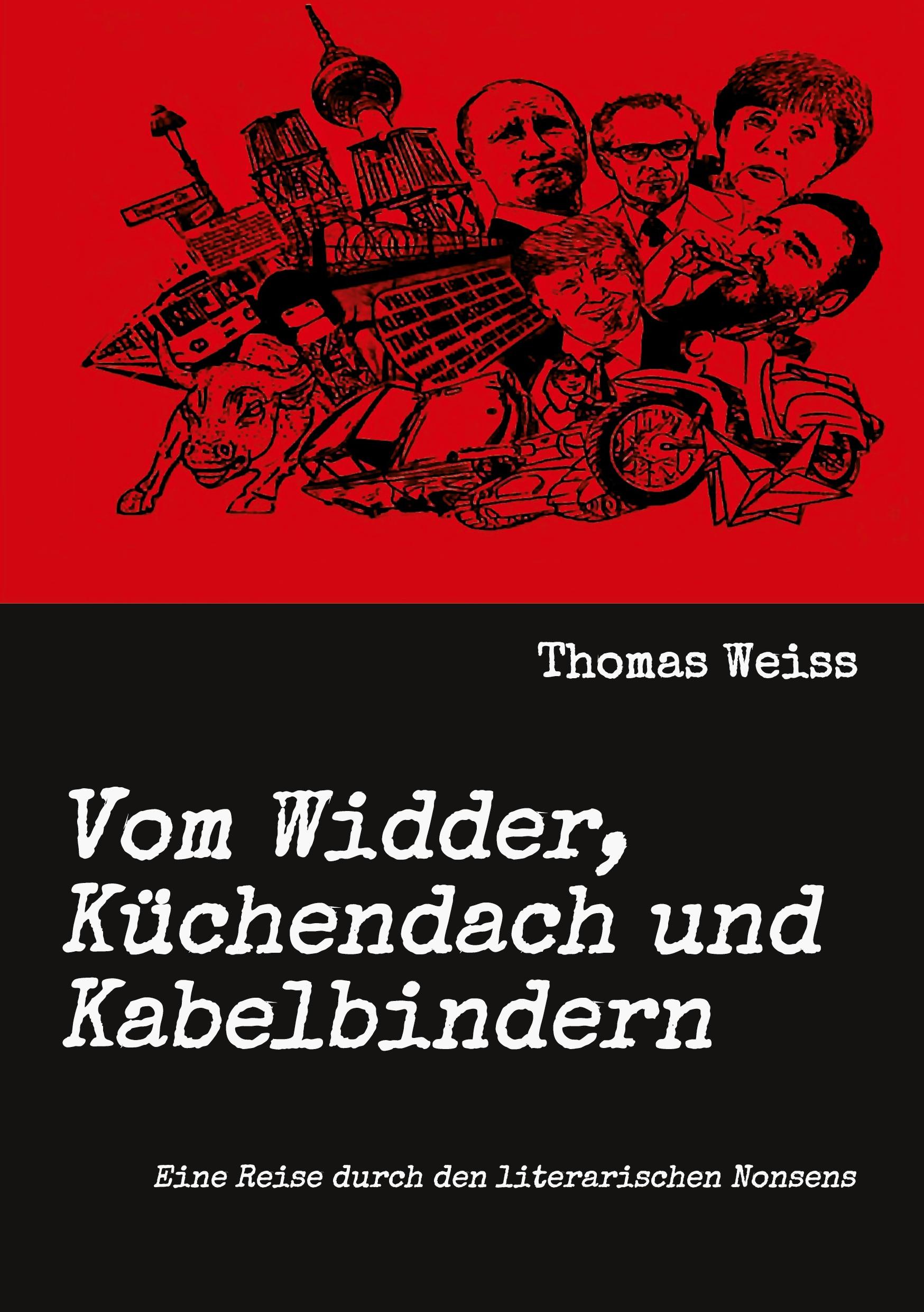 Vorderes Coverbild Vom Widder, Küchendach und Kabelbindern