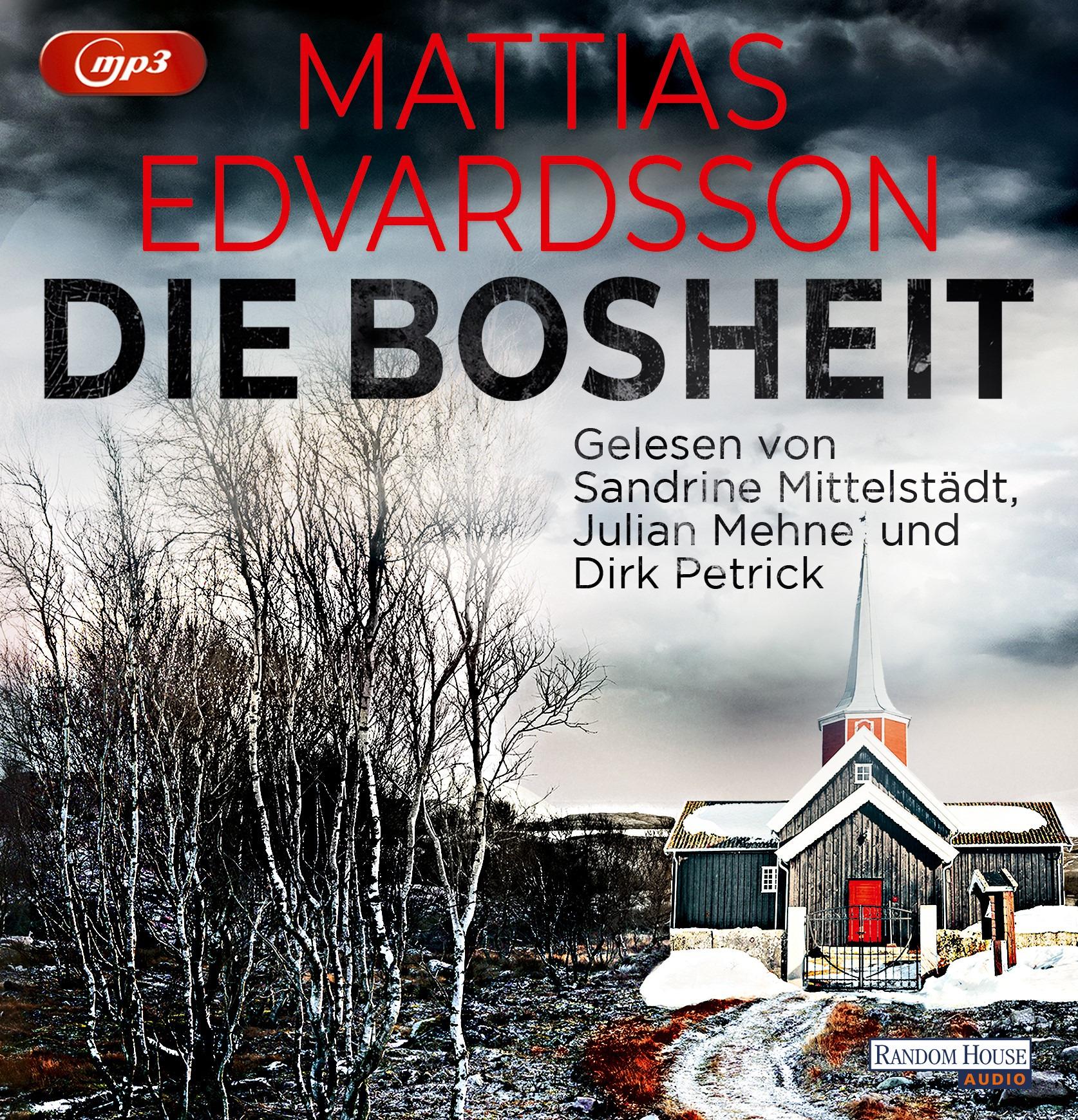 Vorderes Coverbild Die Bosheit
