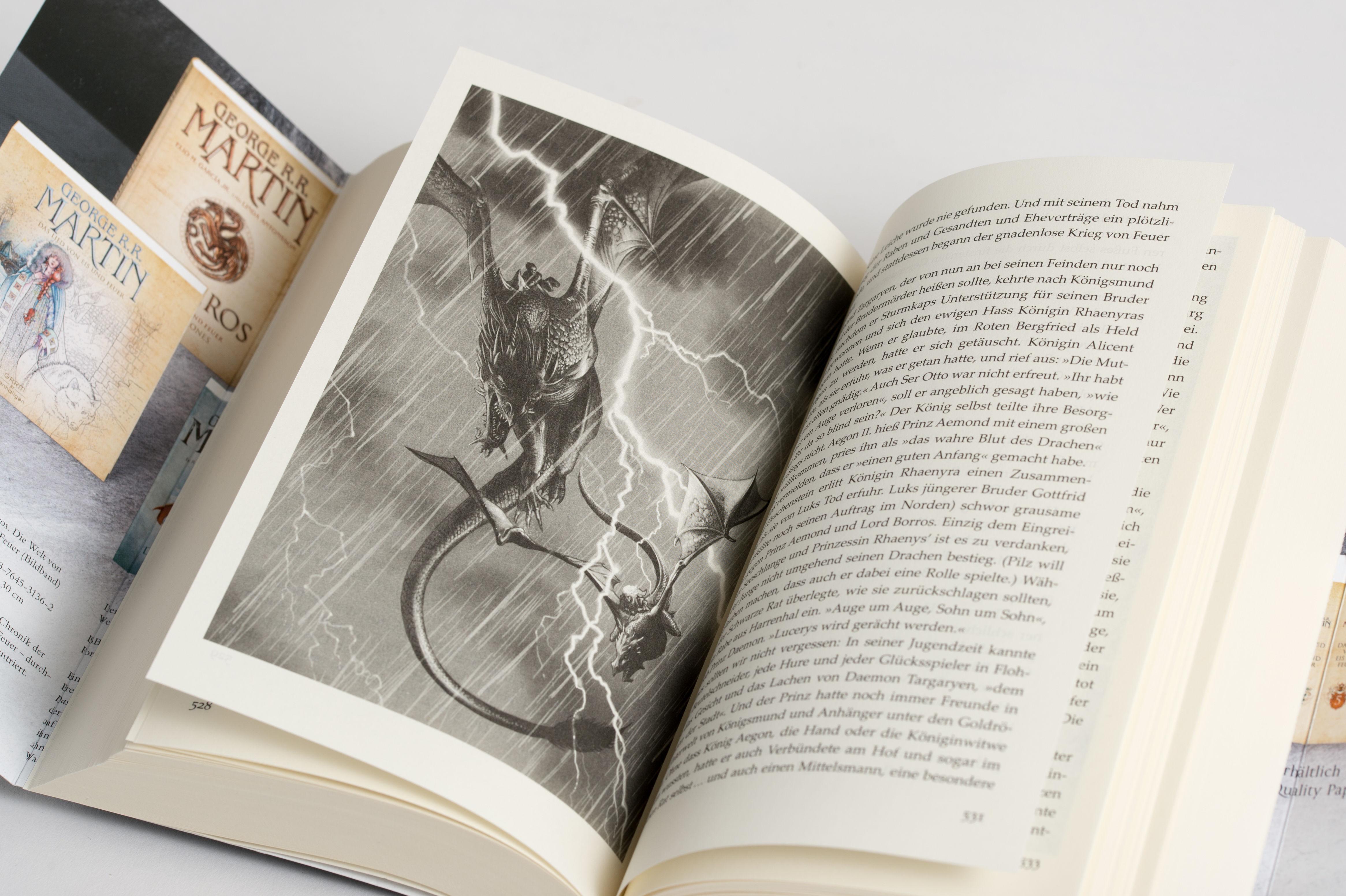 Beispielinhalt (Bild) Feuer und Blut - Erstes Buch