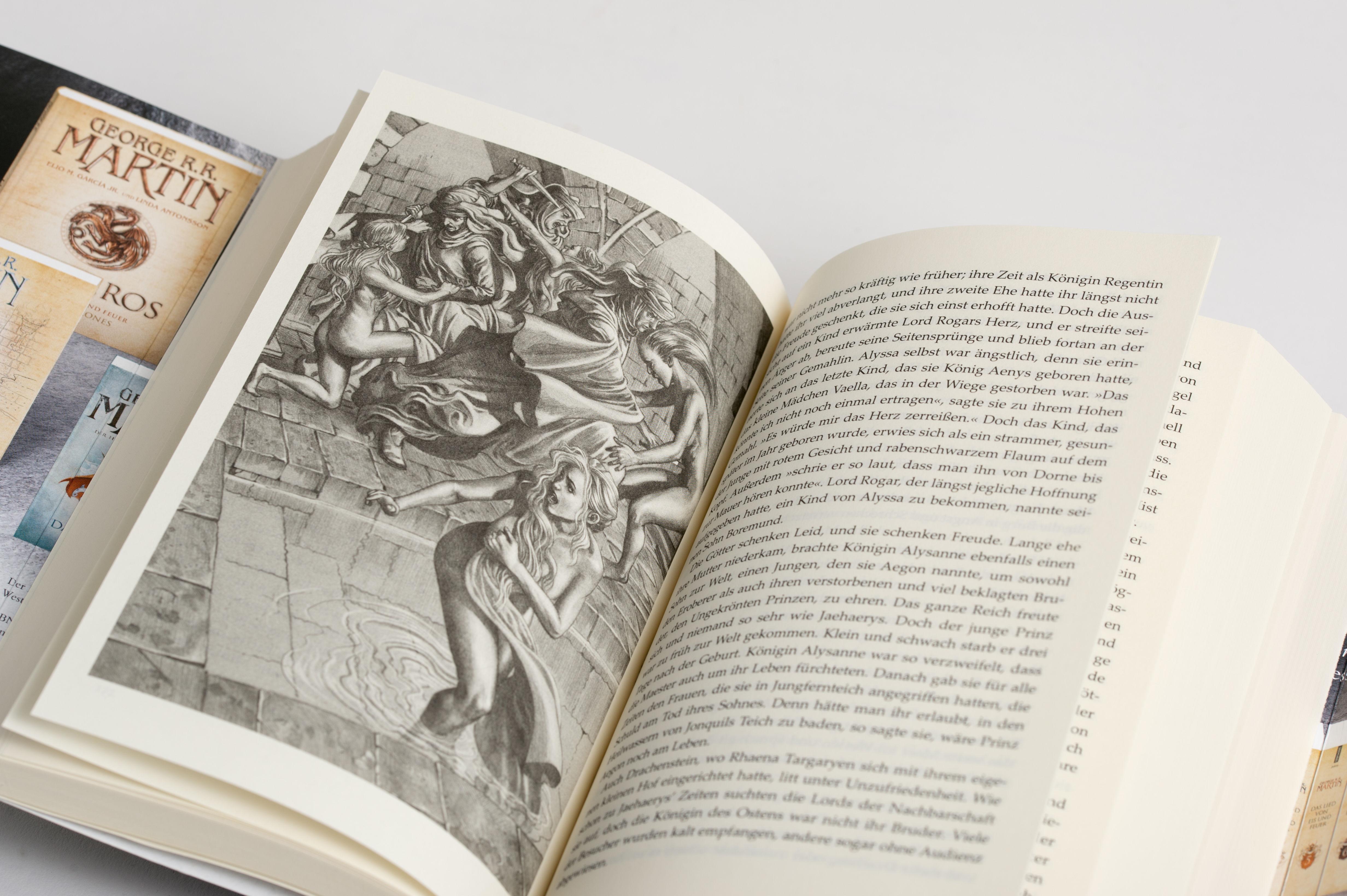 Beispielinhalt (Bild) Feuer und Blut - Erstes Buch