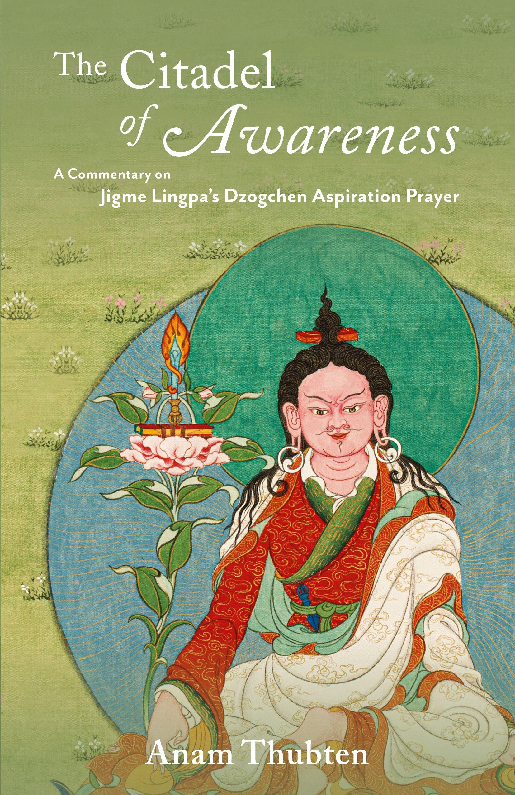 Vorderes Coverbild The Citadel of Awareness