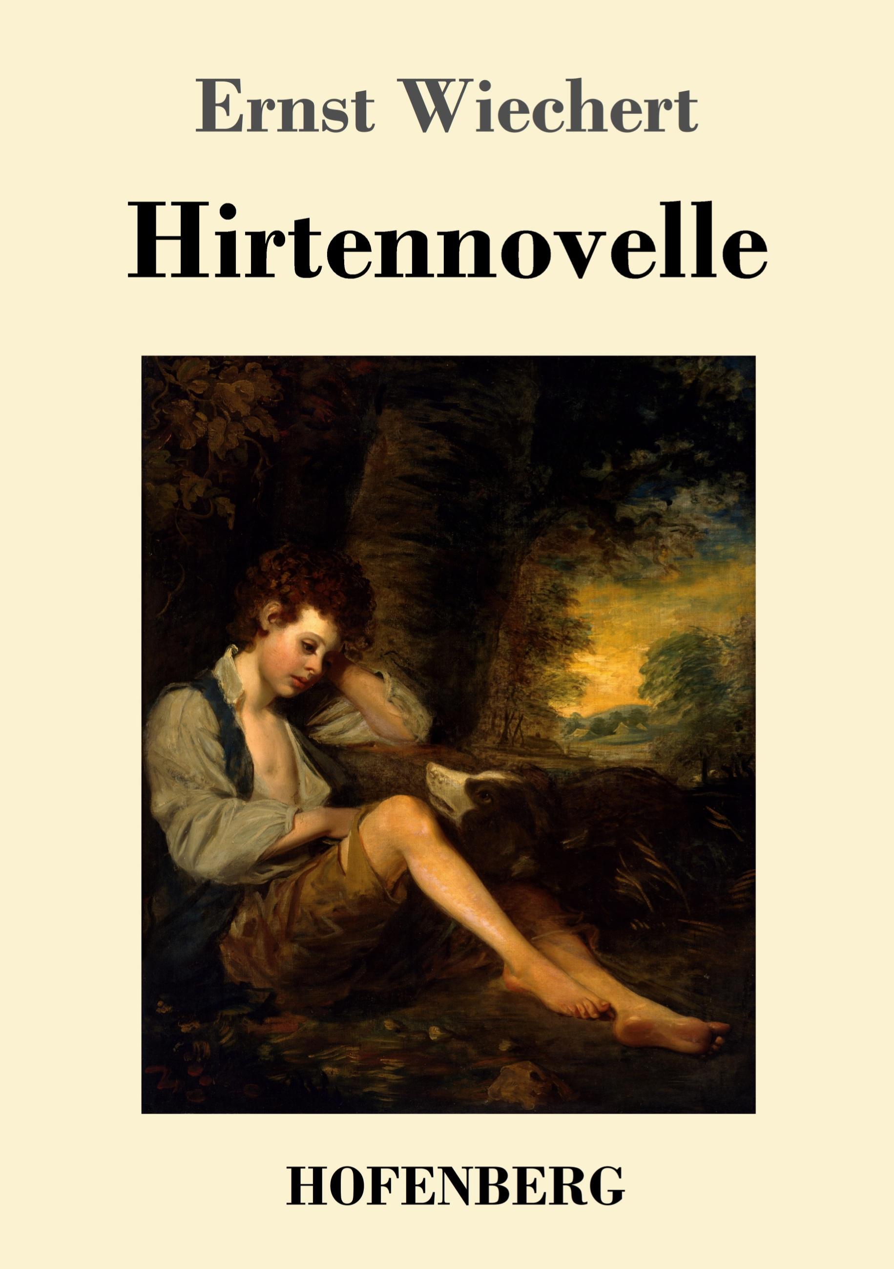 Vorderes Coverbild Hirtennovelle