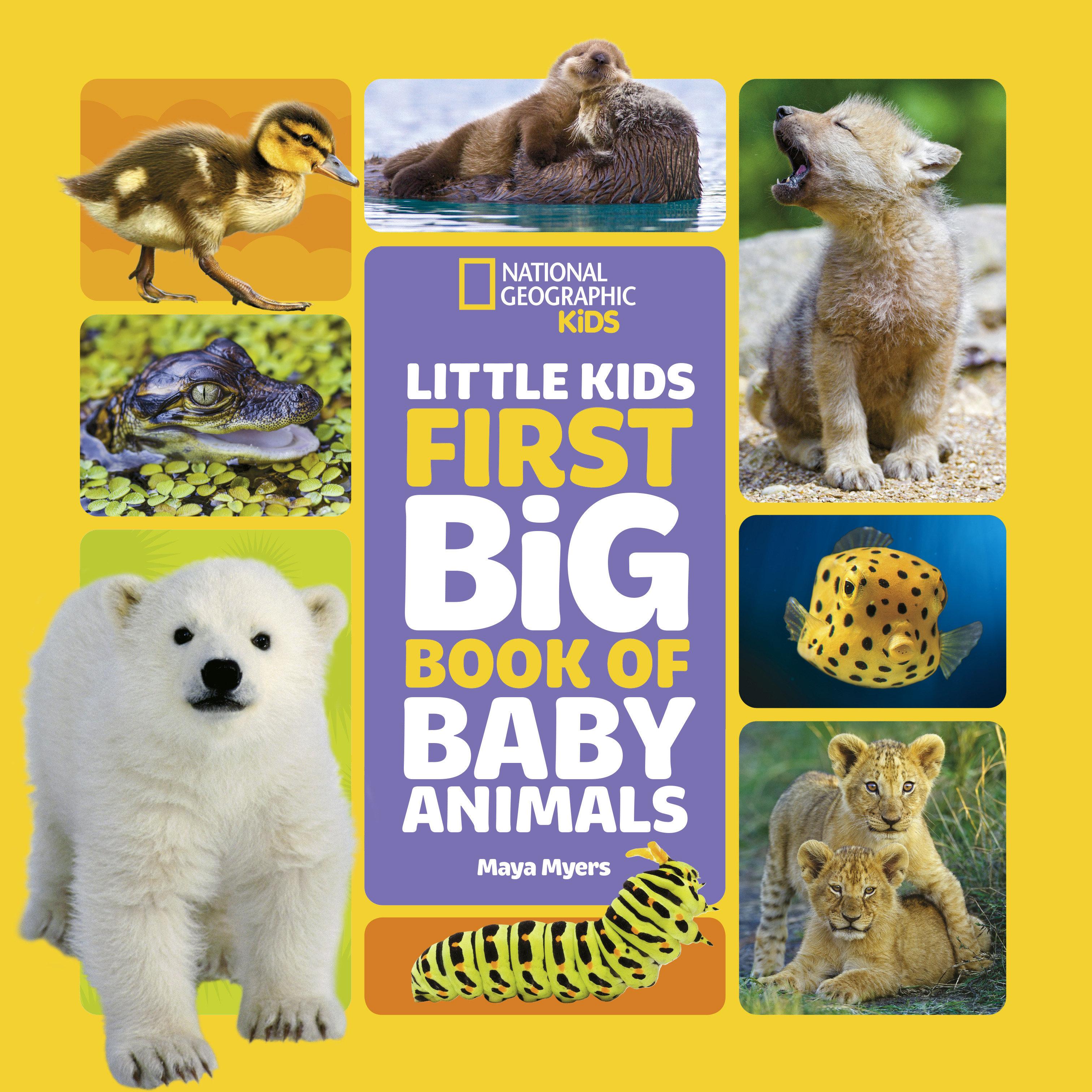 Vorderes Coverbild National Geographic Little Kids First Big Book of Baby Animals