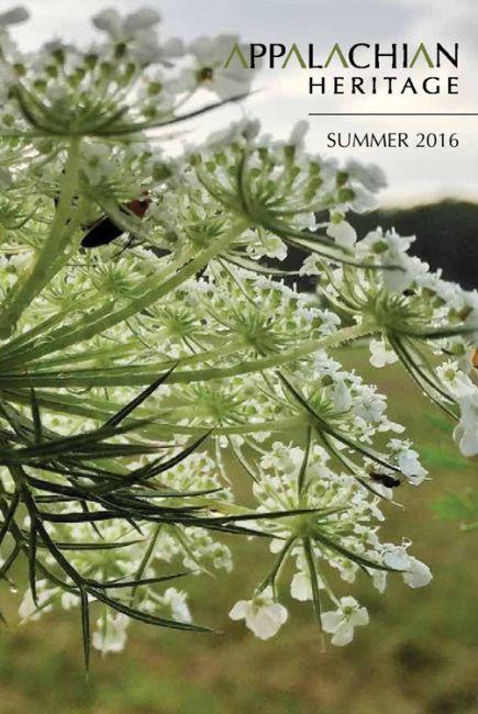 Vorderes Coverbild Appalachian Heritage - Summer 2016