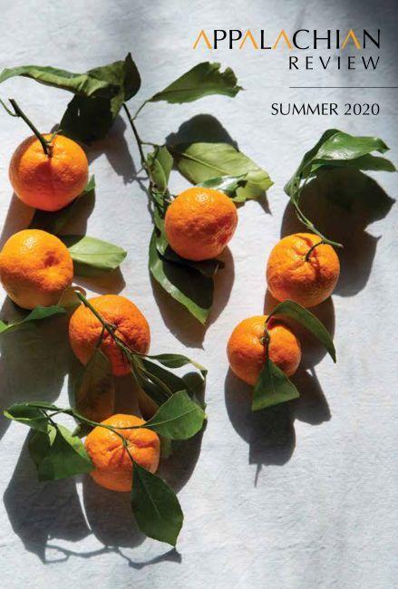 Vorderes Coverbild Appalachian Review - Summer 2020