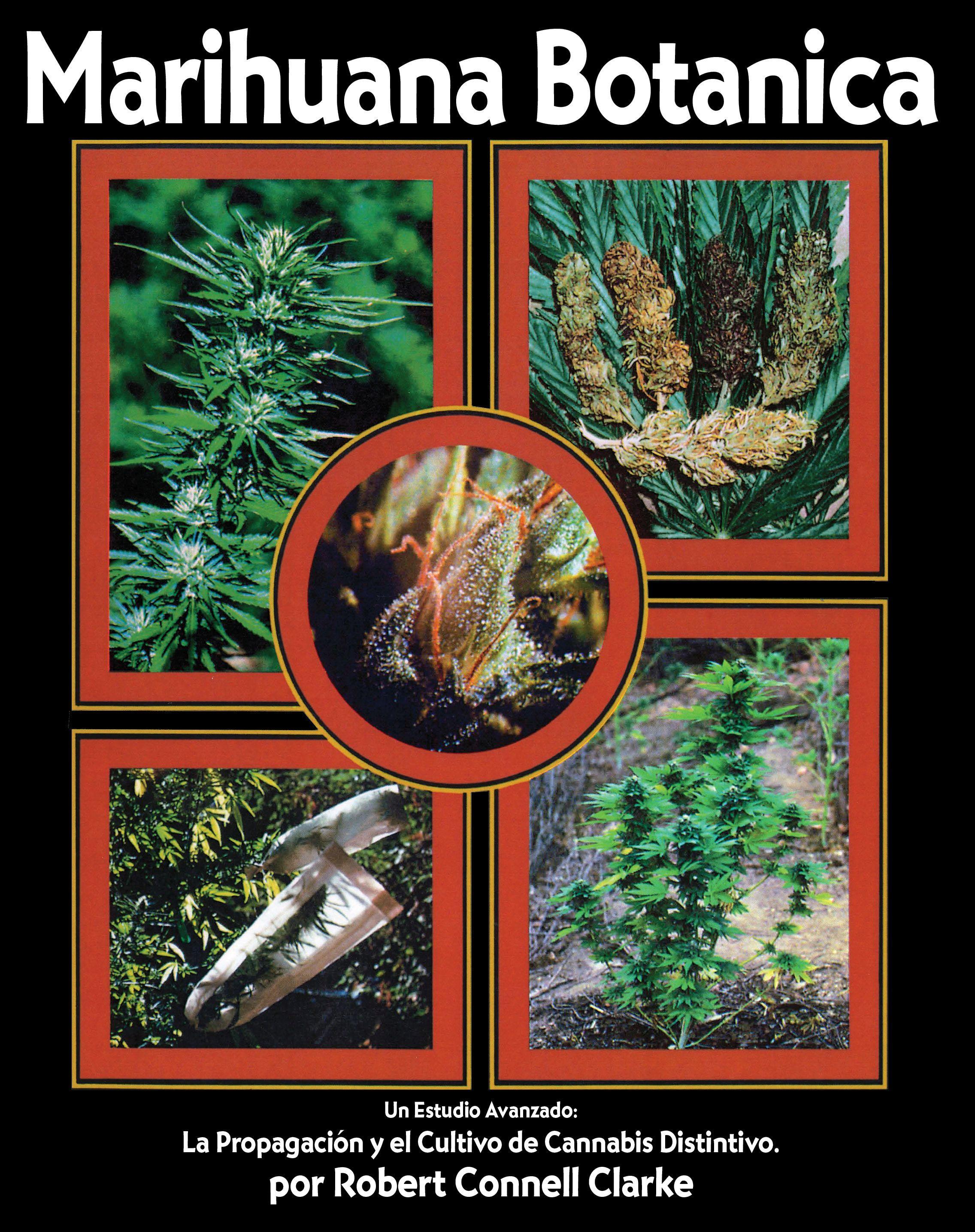 Vorderes Coverbild Marihuana Botanica