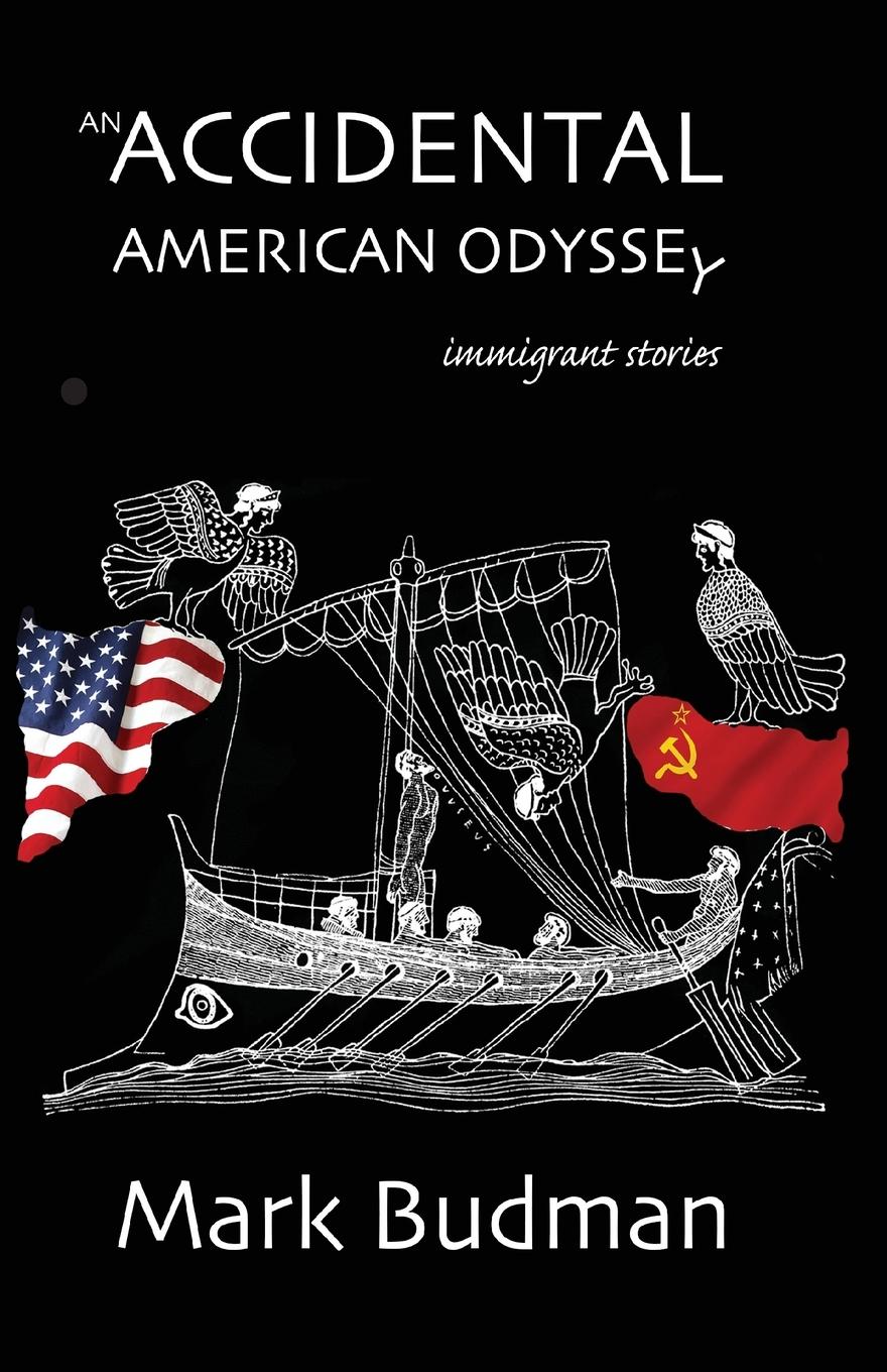 Vorderes Coverbild An Accidental American Odyssey