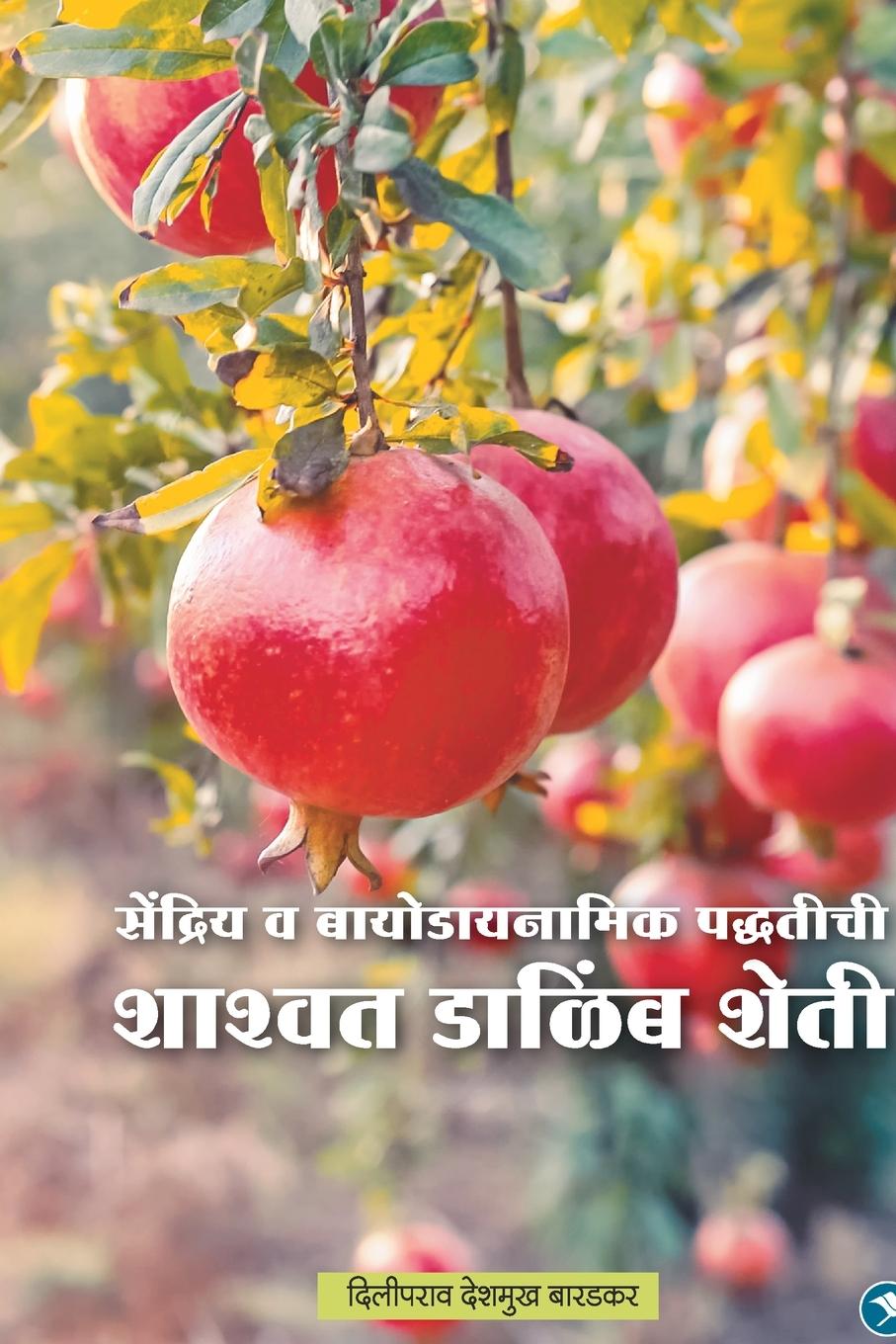 Vorderes Coverbild Shashwat Dalimb Sheti