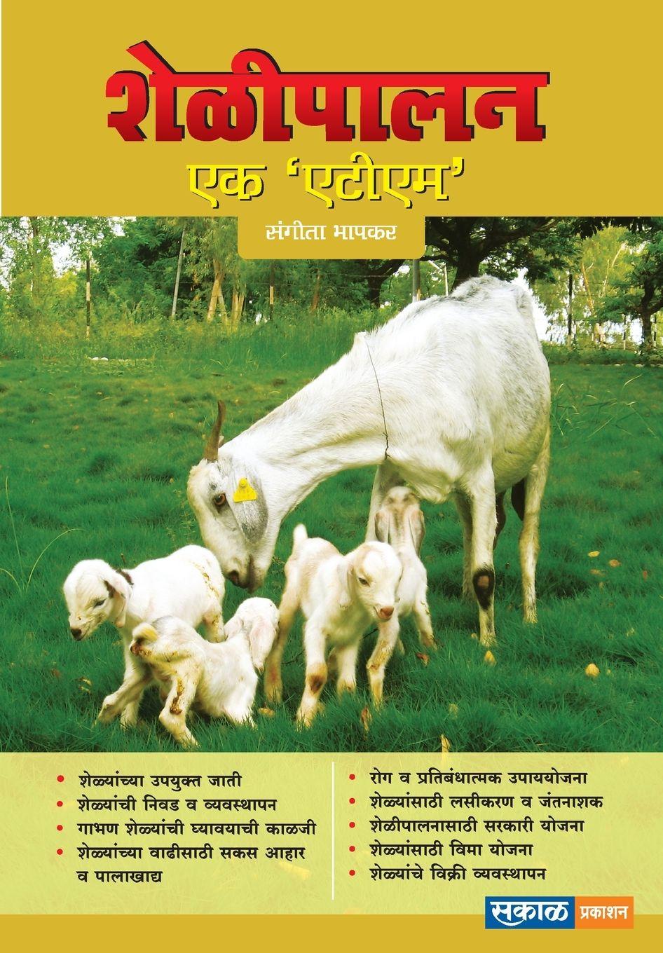 Vorderes Coverbild Shelipalan Ek ATM