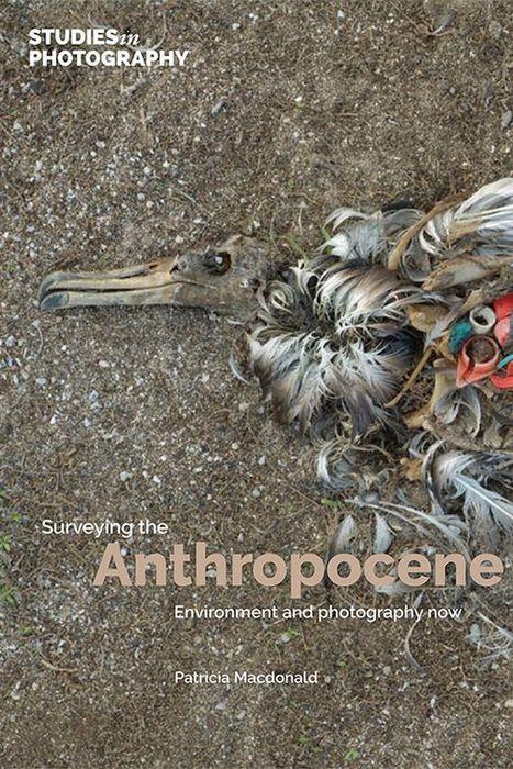 Vorderes Coverbild Surveying the Anthropocene