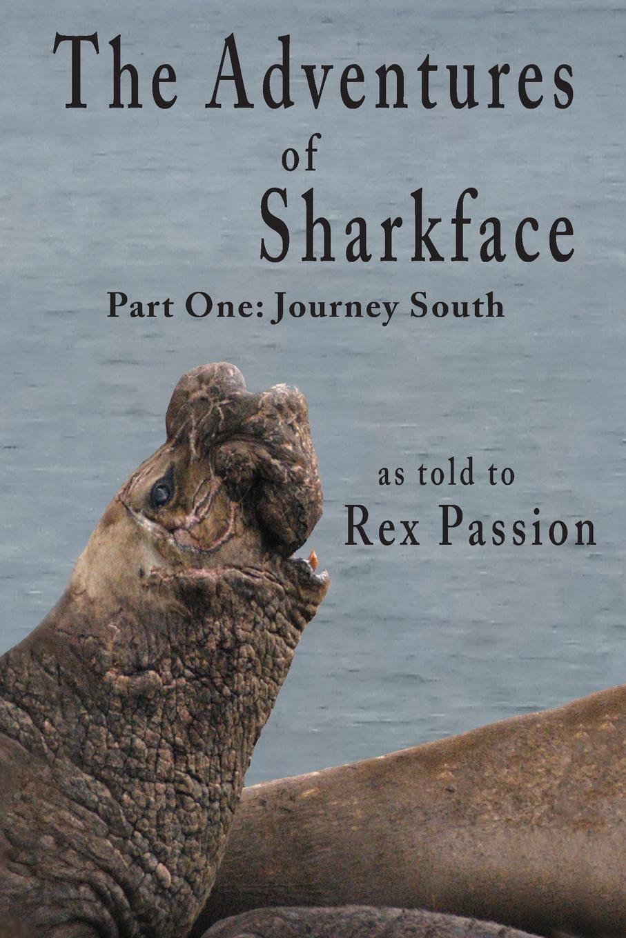 Vorderes Coverbild The Adventures of Sharkface