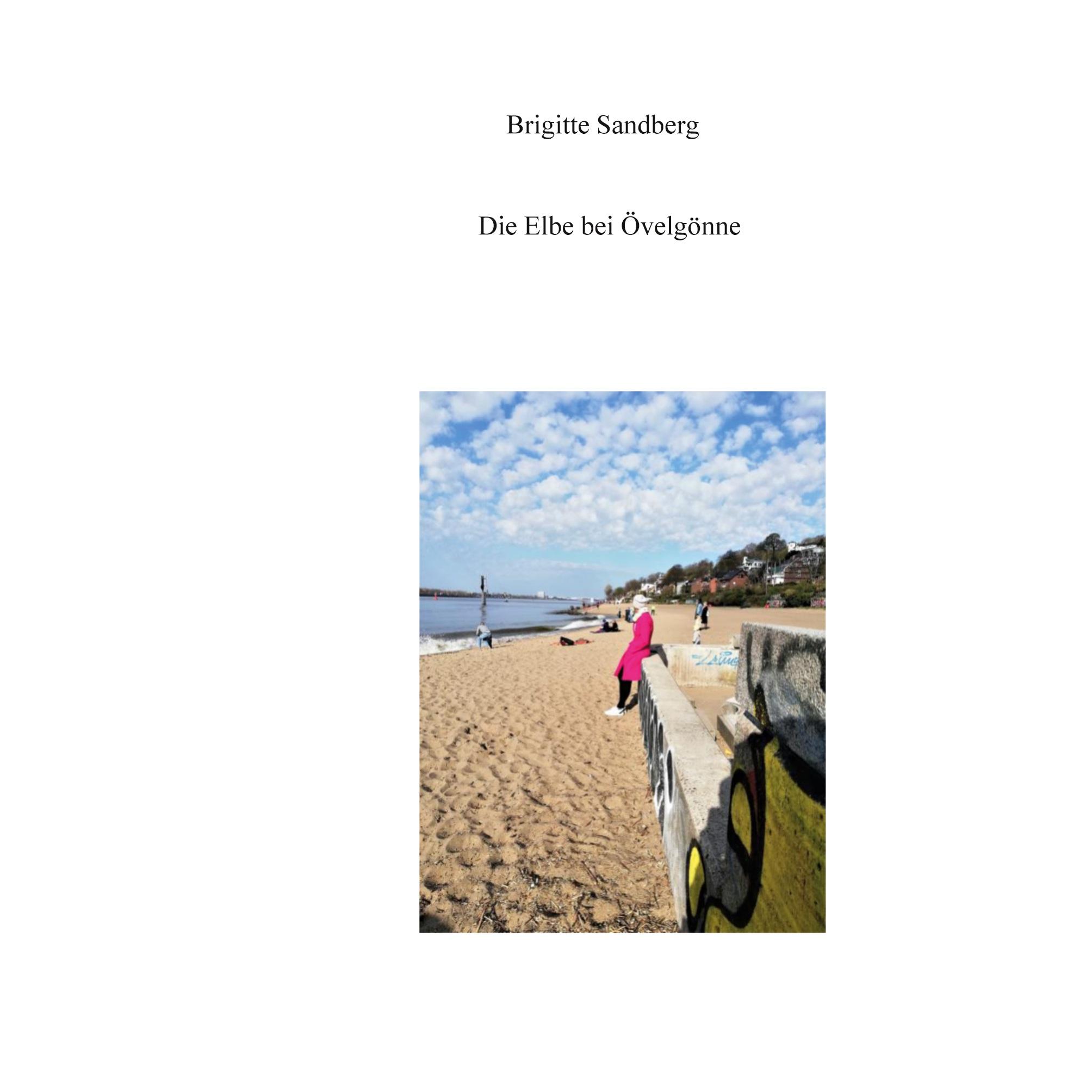 Vorderes Coverbild Die Elbe bei Övelgönne