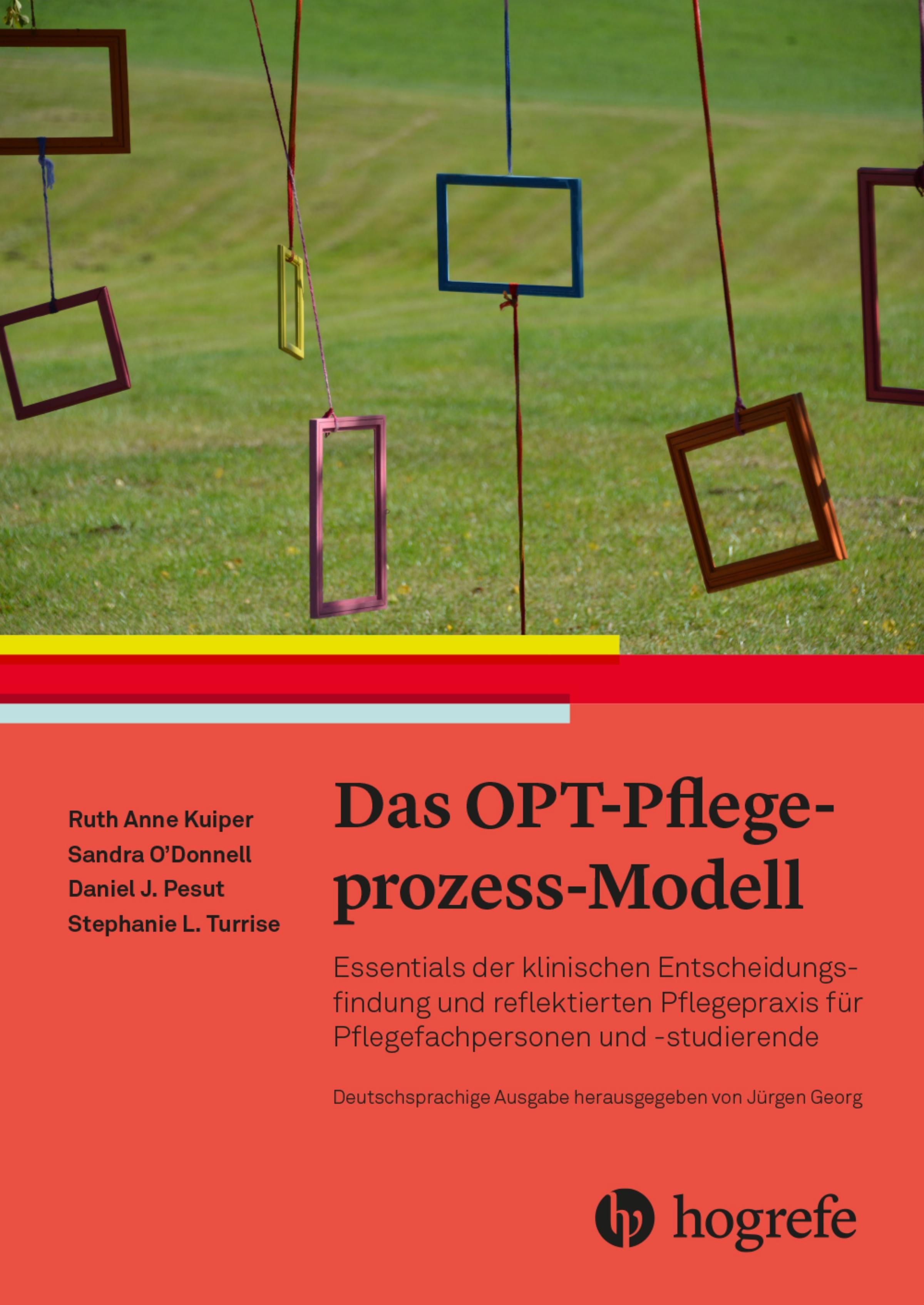 Vorderes Coverbild Das OPT-Pflegeprozess-Modell