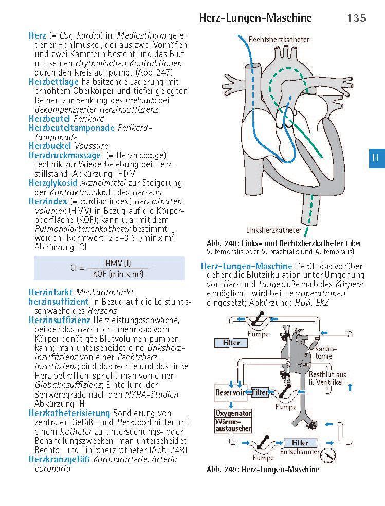 Beispielinhalt (Bild) Wörterbuch Medizin pocket : Kleines Lexikon - medizinische Fachbegriffe , Fremdwörter und Terminologie