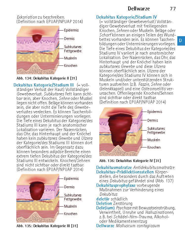 Beispielinhalt (Bild) Wörterbuch Medizin pocket : Kleines Lexikon - medizinische Fachbegriffe , Fremdwörter und Terminologie