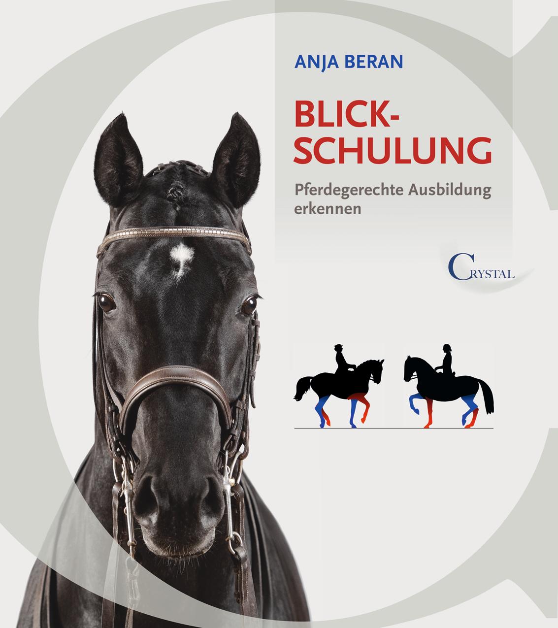 Vorderes Coverbild Blickschulung