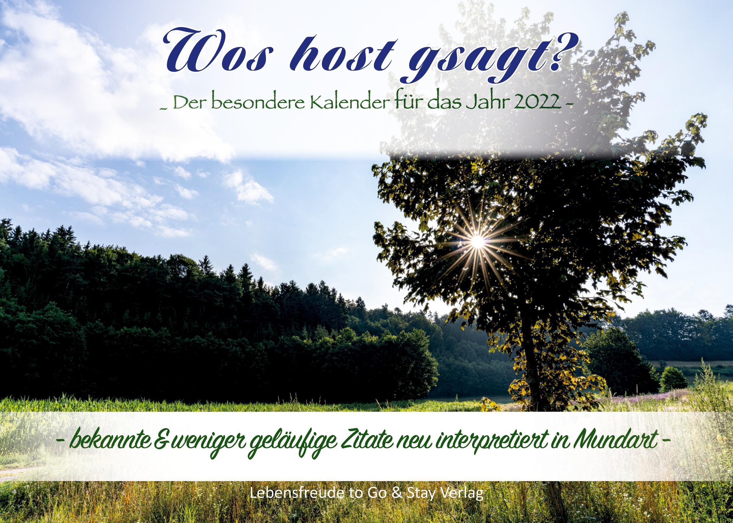 Vorderes Coverbild Wos host gsagt?