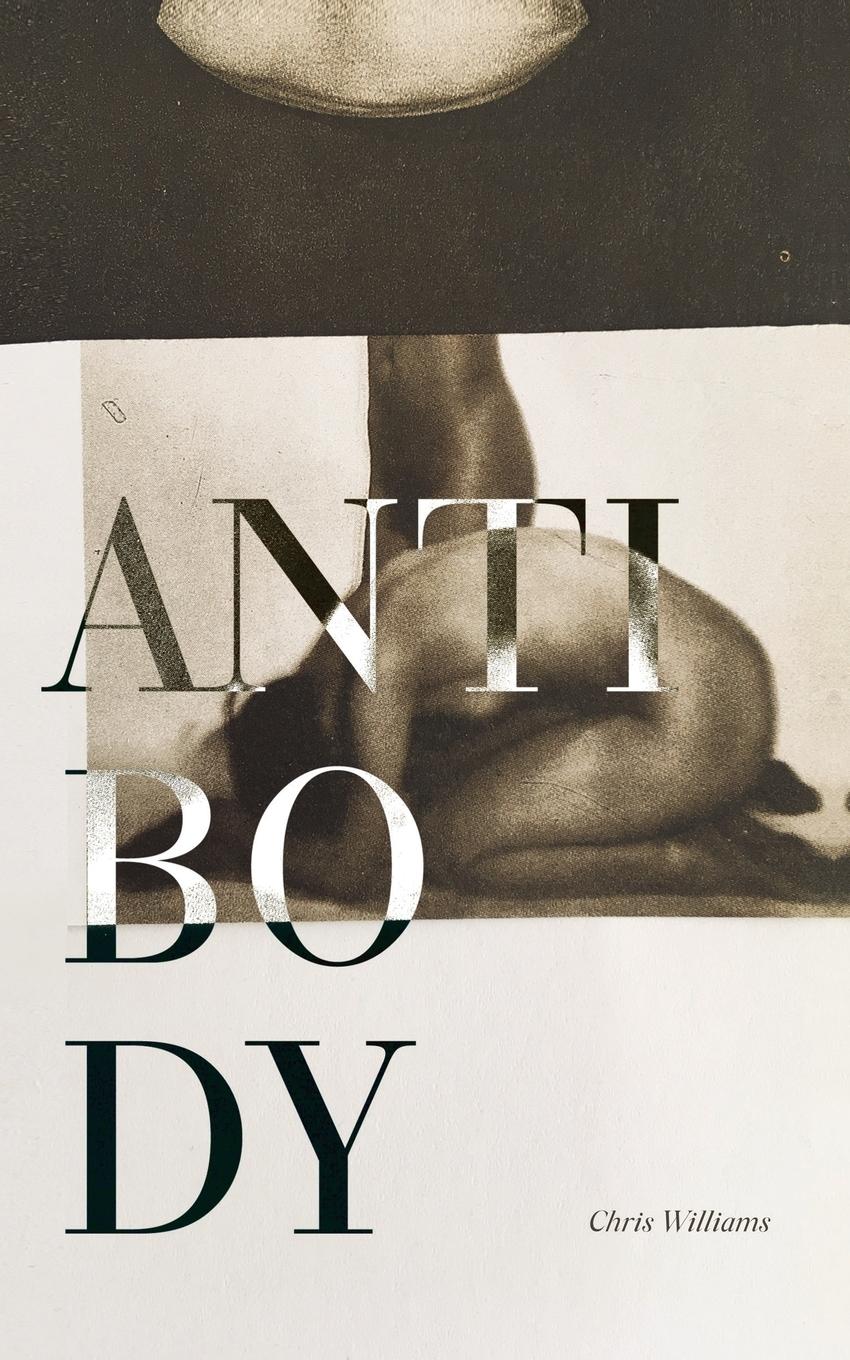 Vorderes Coverbild Antibody