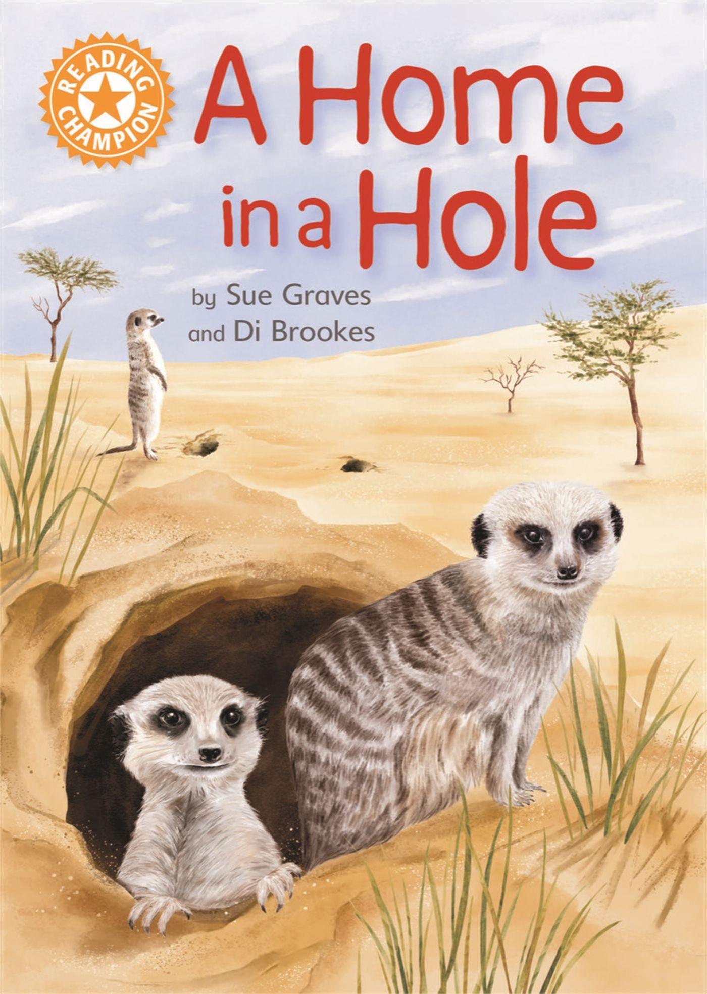 Vorderes Coverbild Reading Champion: A Home in a Hole