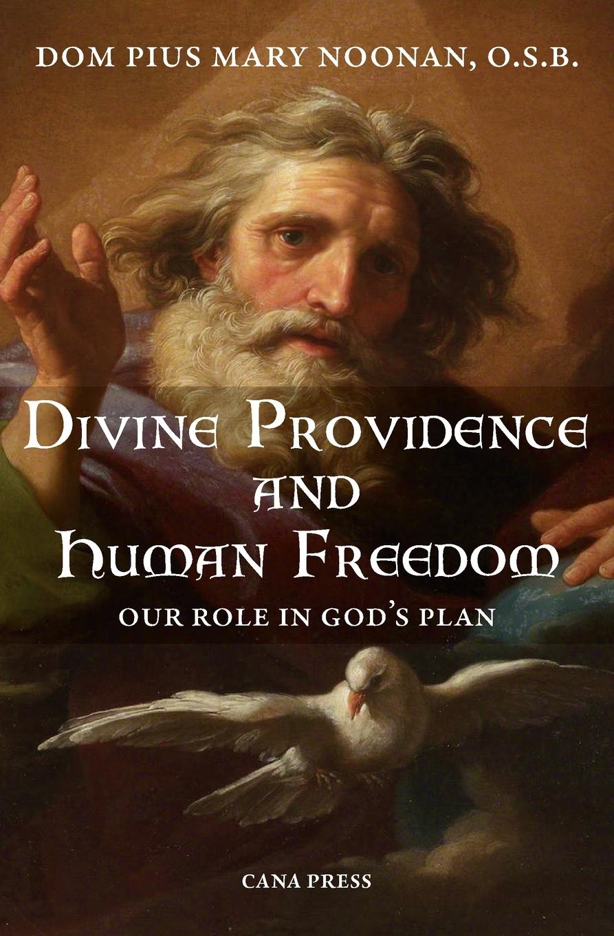 Vorderes Coverbild Divine Providence And Human Freedom