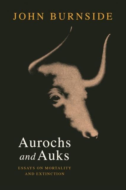 Vorderes Coverbild Aurochs and Auks