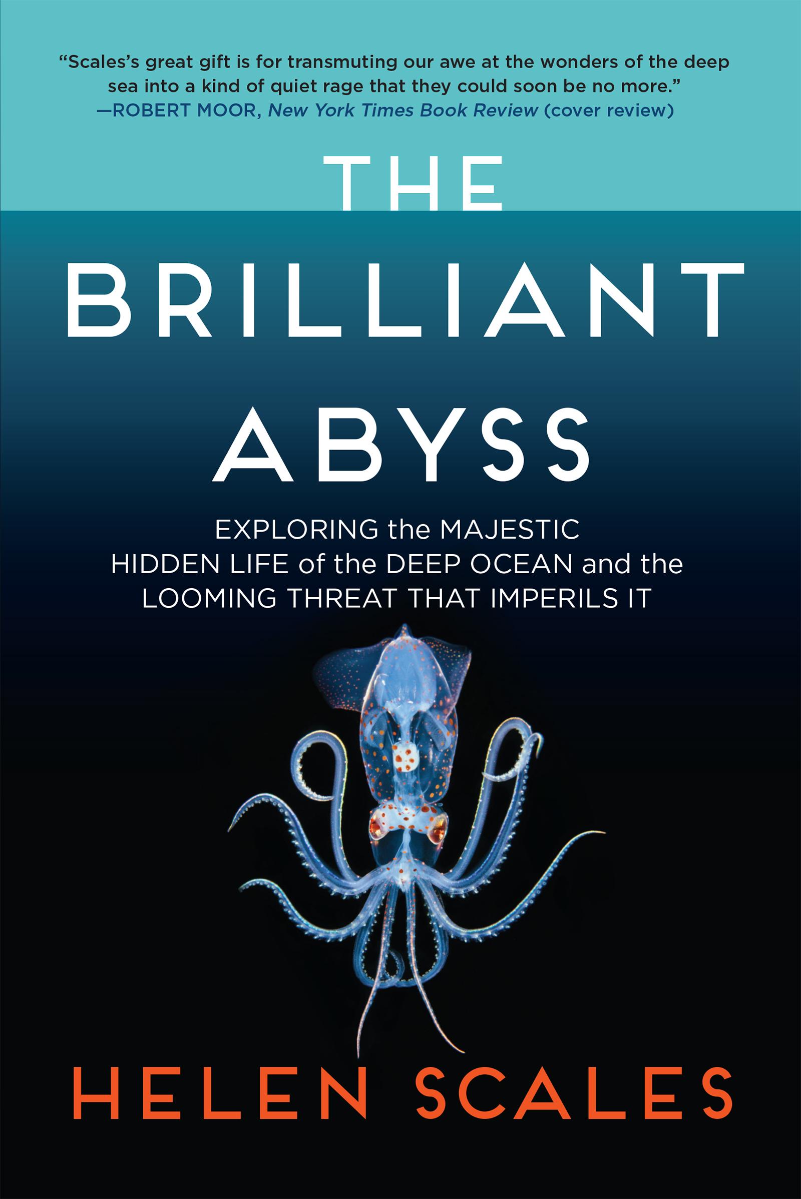 Vorderes Coverbild The Brilliant Abyss