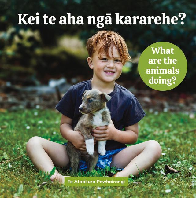 Vorderes Coverbild Kei Te AHA Nga Kararehe? What Are the Animals Doing?