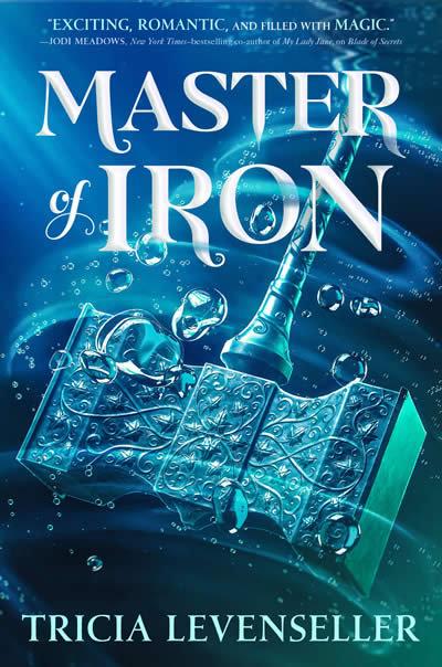 Vorderes Coverbild Master of Iron