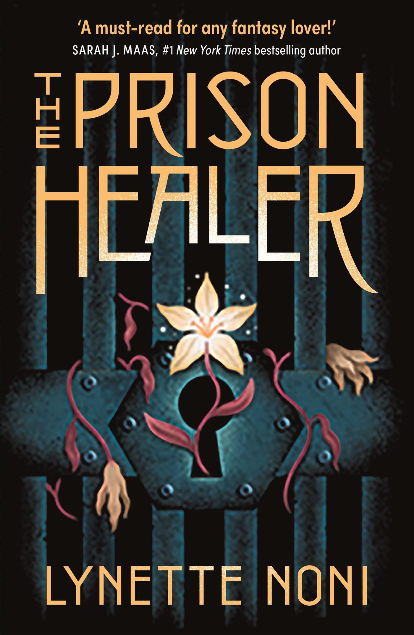 Vorderes Coverbild The Prison Healer