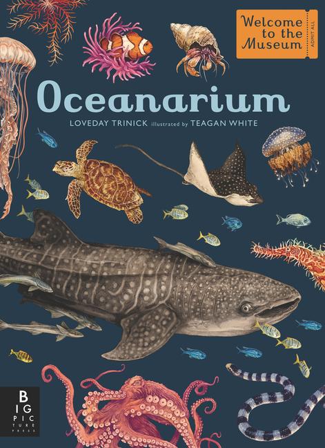 Vorderes Coverbild Oceanarium