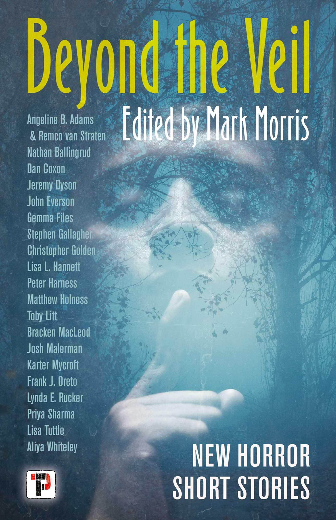 Vorderes Coverbild Beyond the Veil