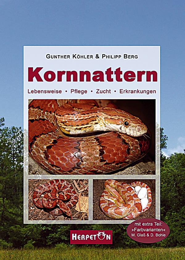 Vorderes Coverbild Kornnattern