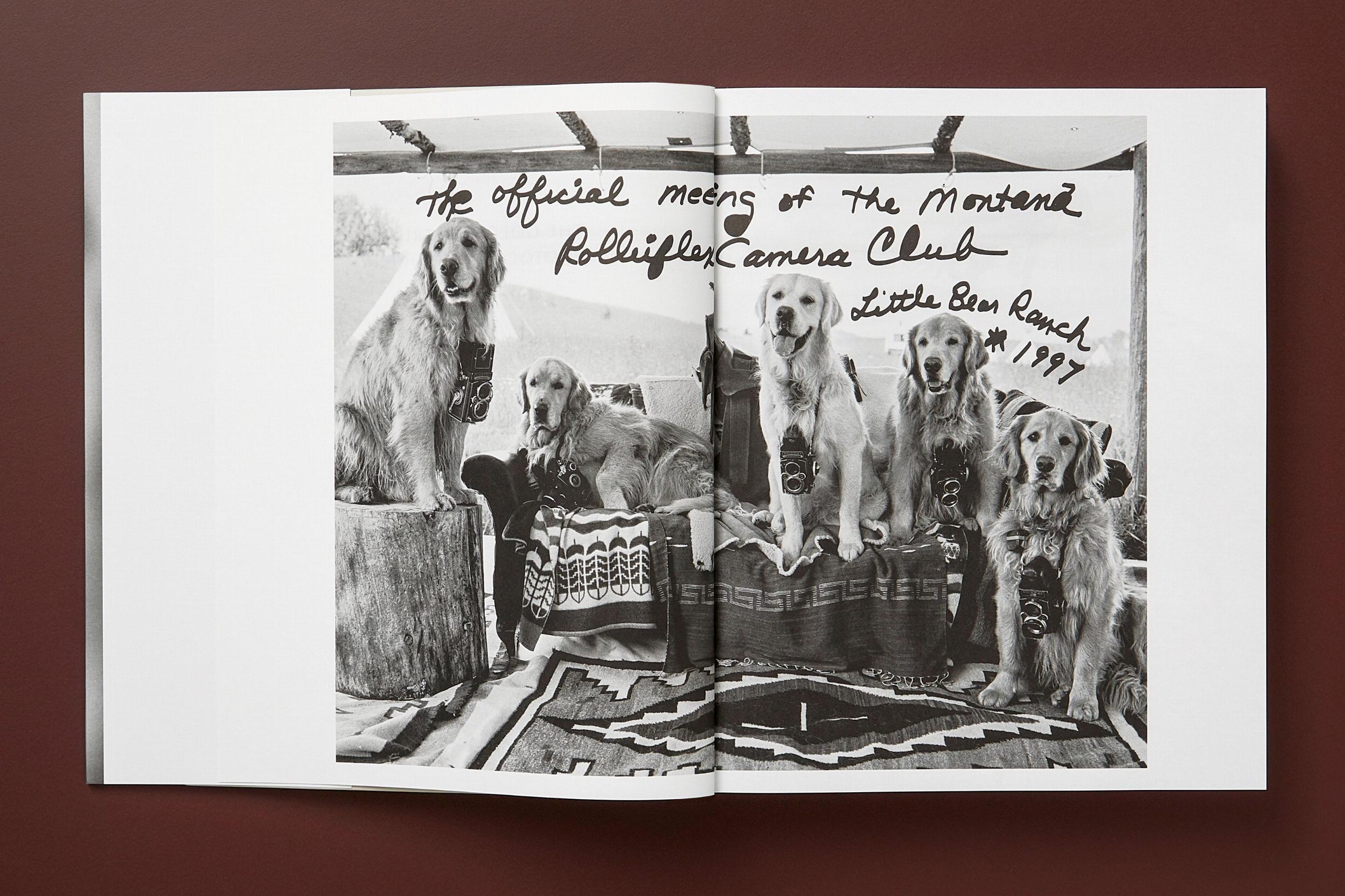 Beispielinhalt (Bild) Bruce Weber. The Golden Retriever Photographic Society