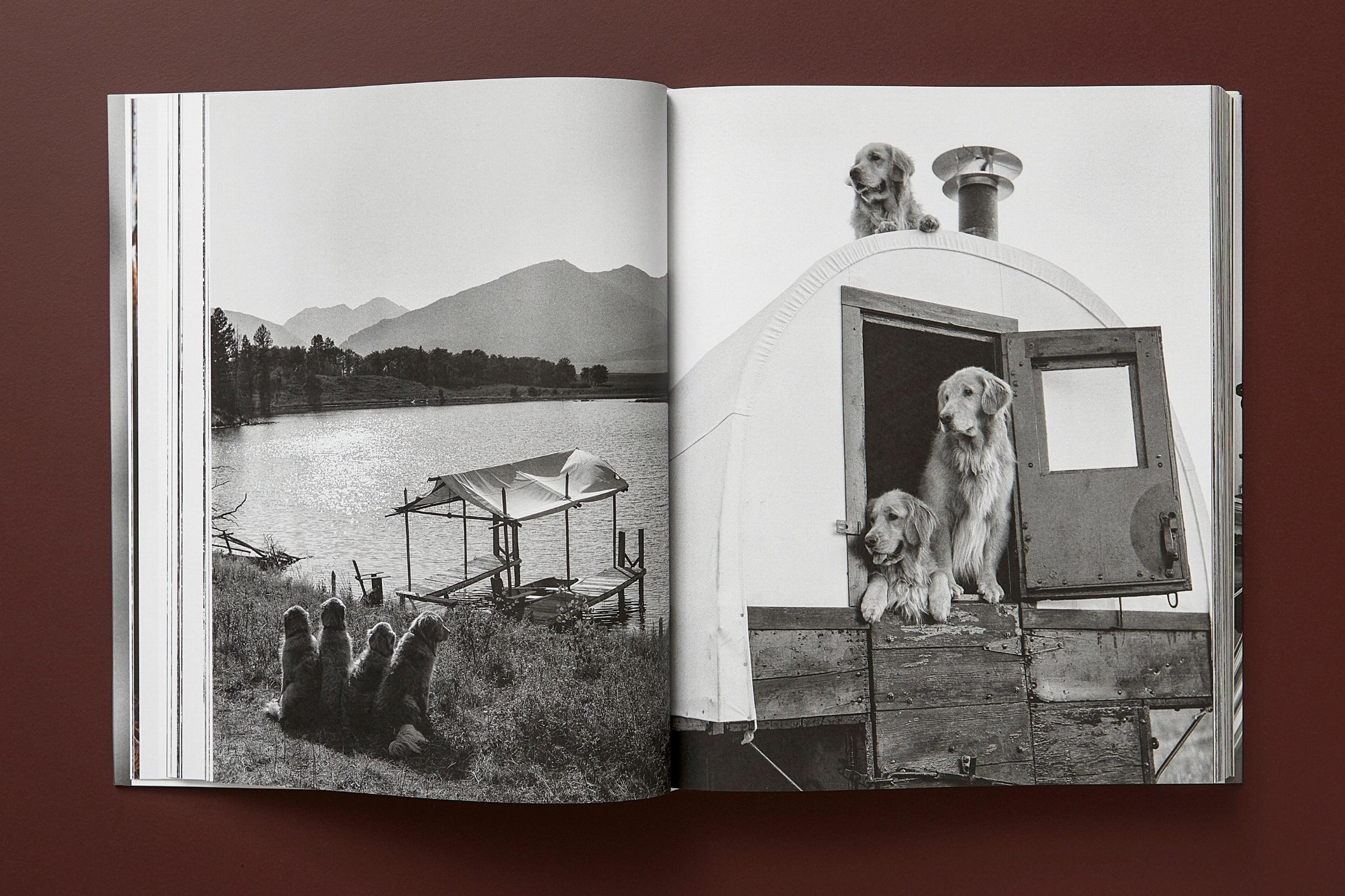 Beispielinhalt (Bild) Bruce Weber. The Golden Retriever Photographic Society