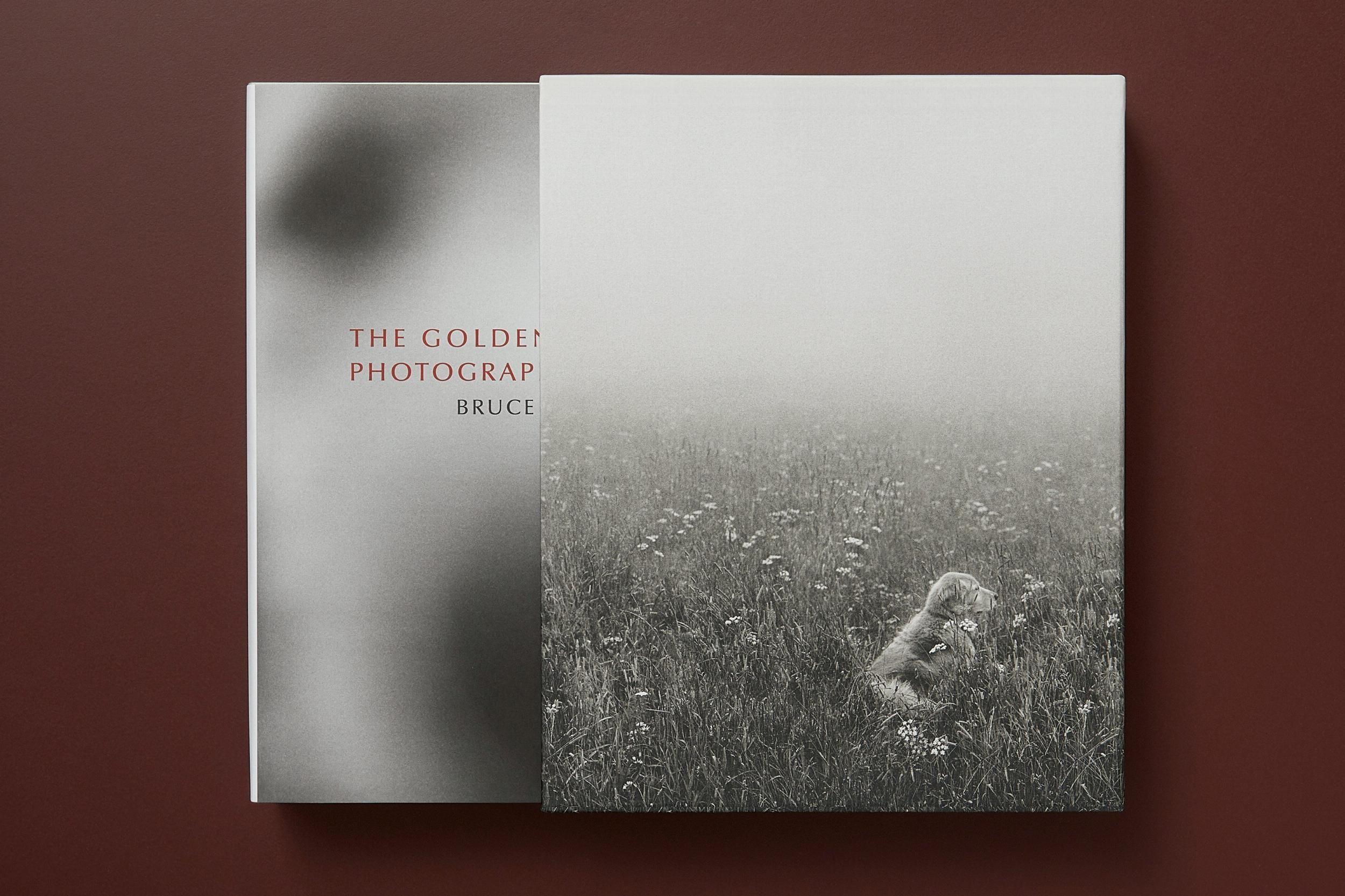 Beispielinhalt (Bild) Bruce Weber. The Golden Retriever Photographic Society