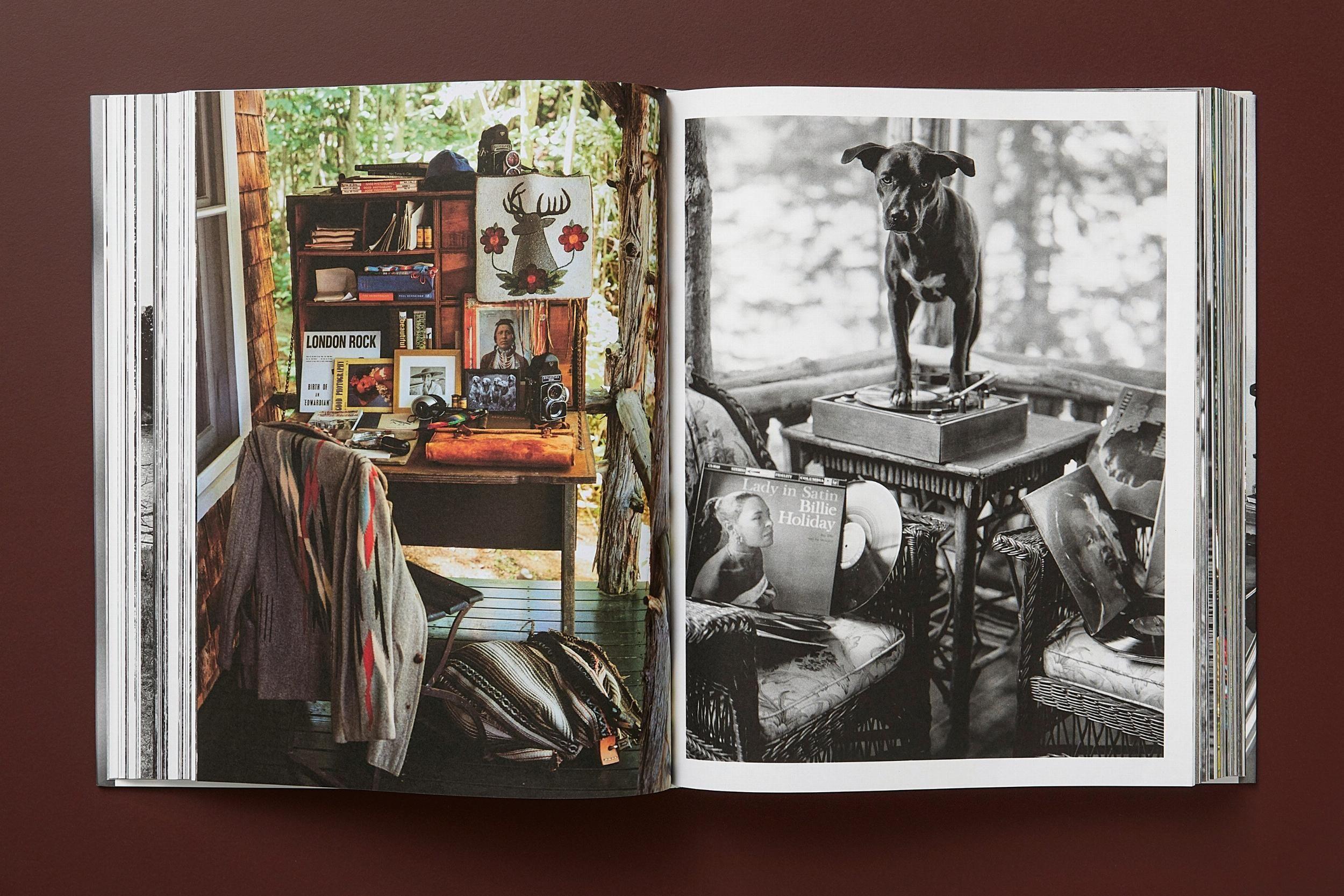 Beispielinhalt (Bild) Bruce Weber. The Golden Retriever Photographic Society