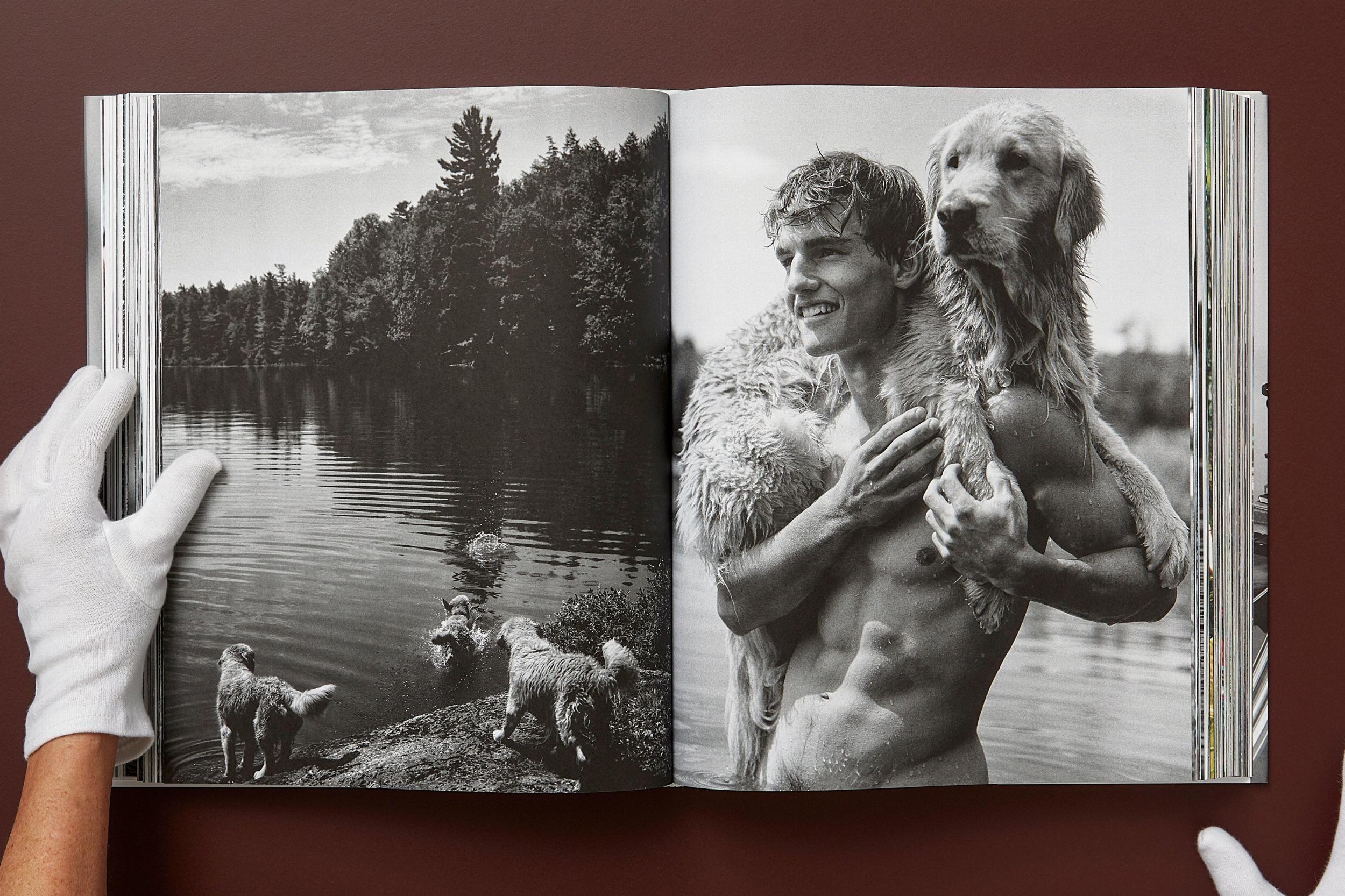 Beispielinhalt (Bild) Bruce Weber. The Golden Retriever Photographic Society