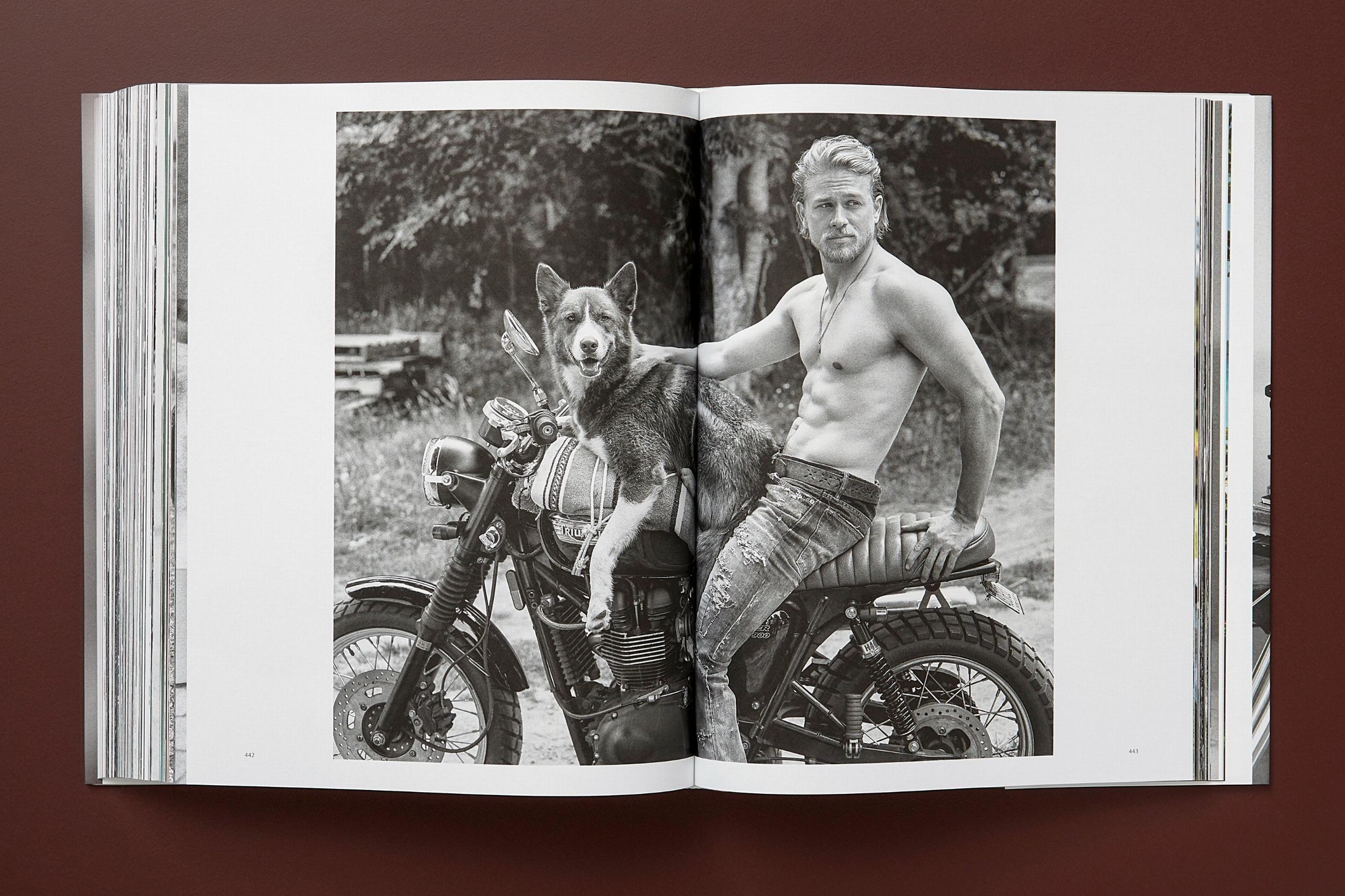 Beispielinhalt (Bild) Bruce Weber. The Golden Retriever Photographic Society