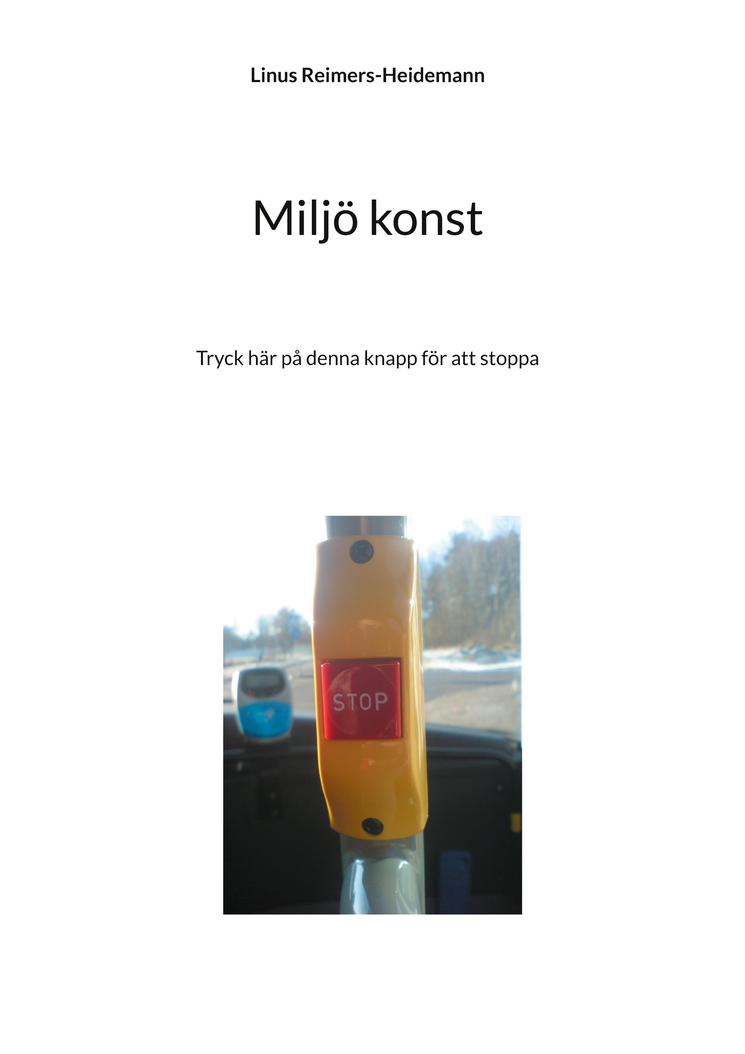 Vorderes Coverbild Miljö konst