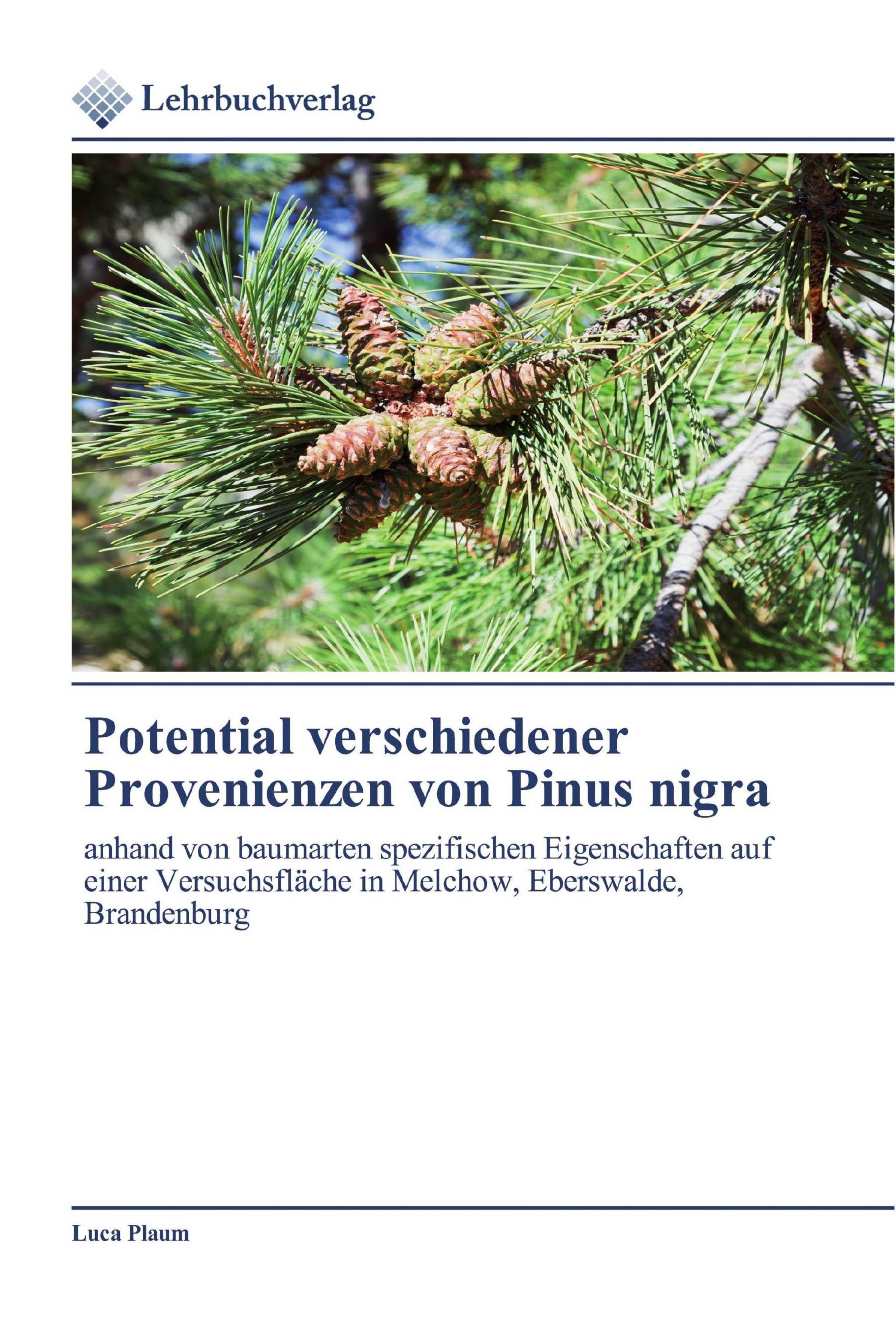 Vorderes Coverbild Potential verschiedener Provenienzen von Pinus nigra