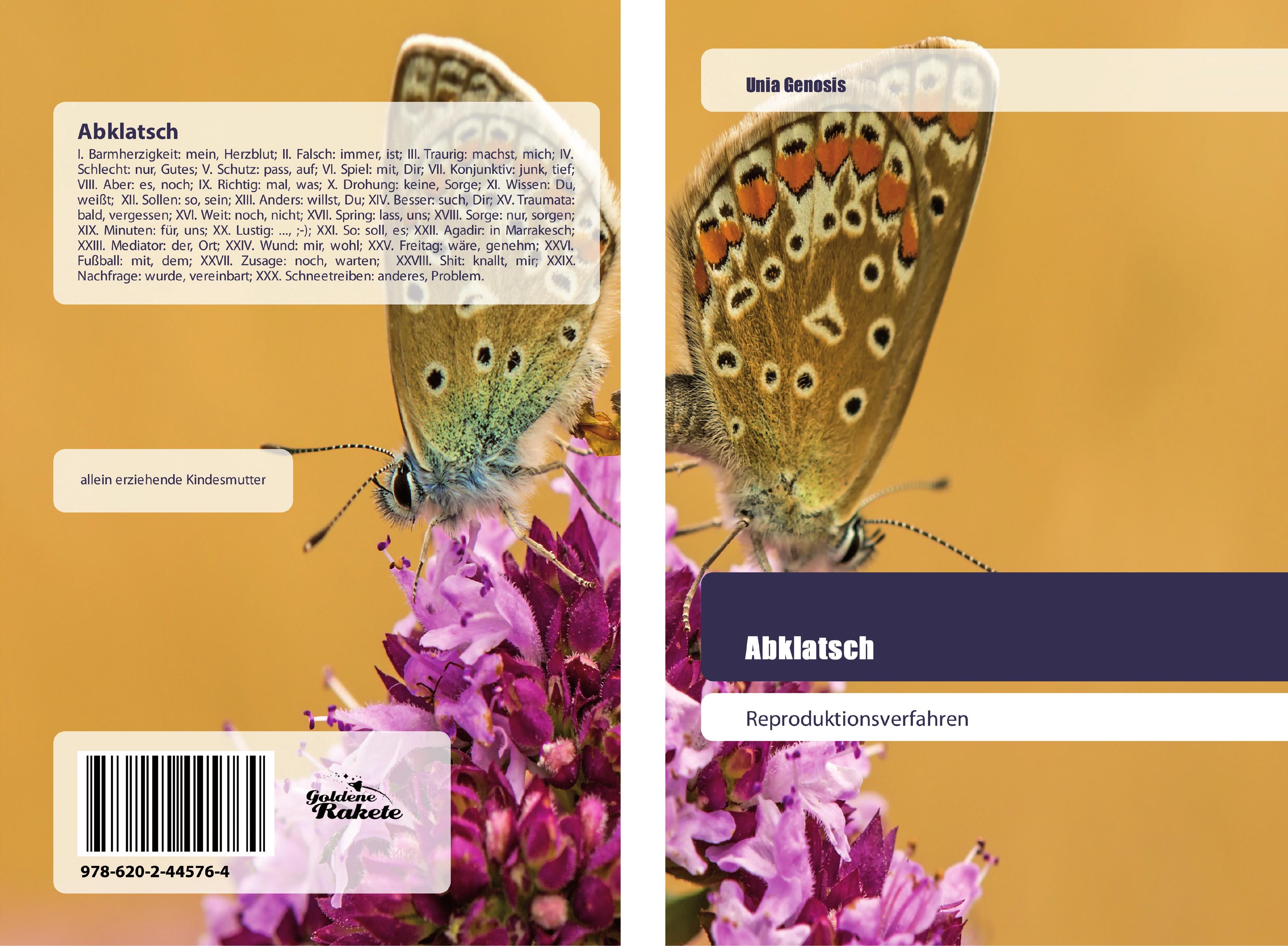Vorderes Coverbild Abklatsch