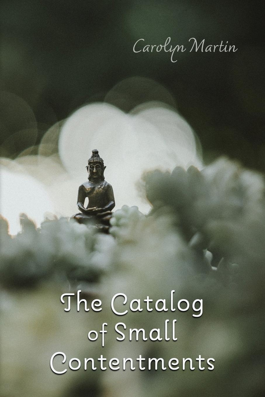 Vorderes Coverbild The Catalog of Small Contentments