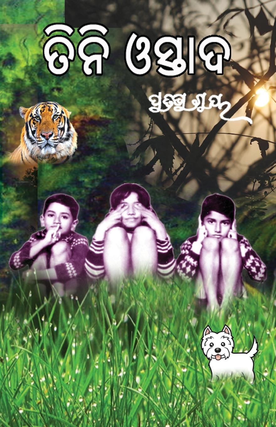 Vorderes Coverbild Tini Ostad