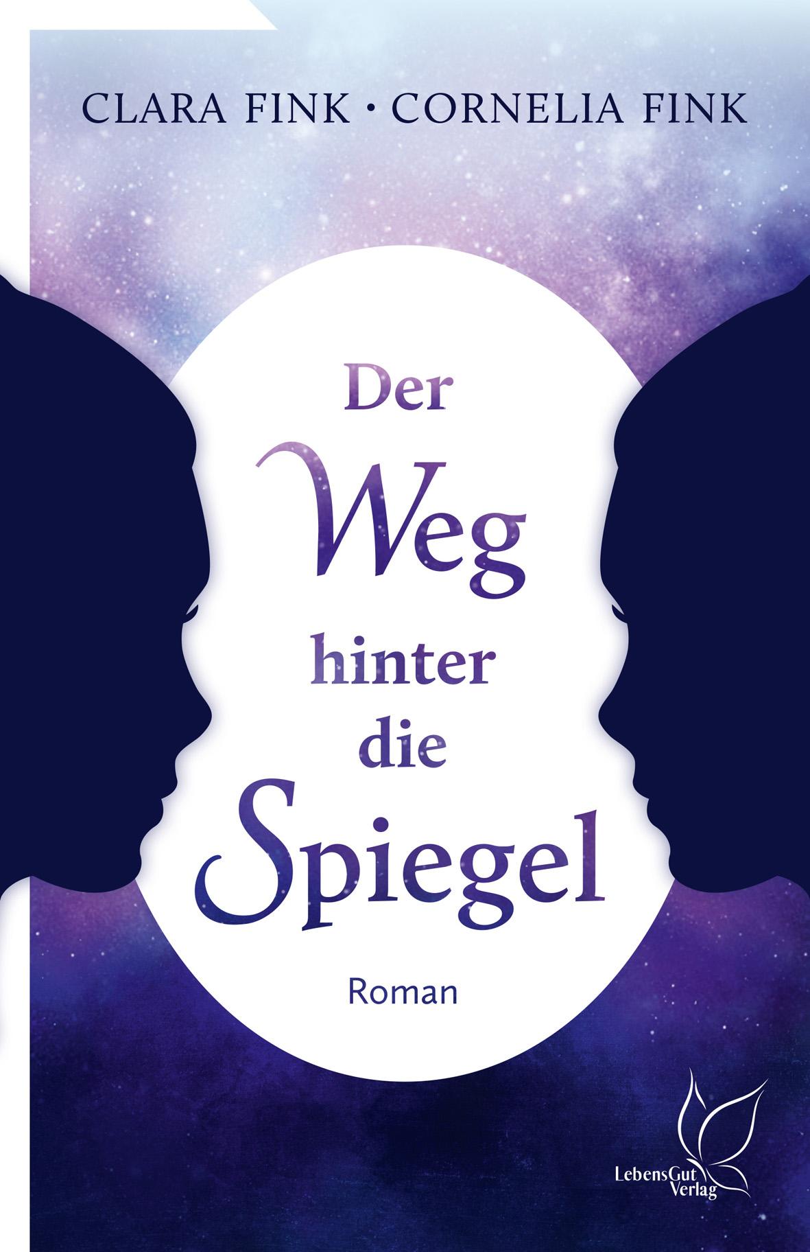 Vorderes Coverbild Der Weg hinter die Spiegel
