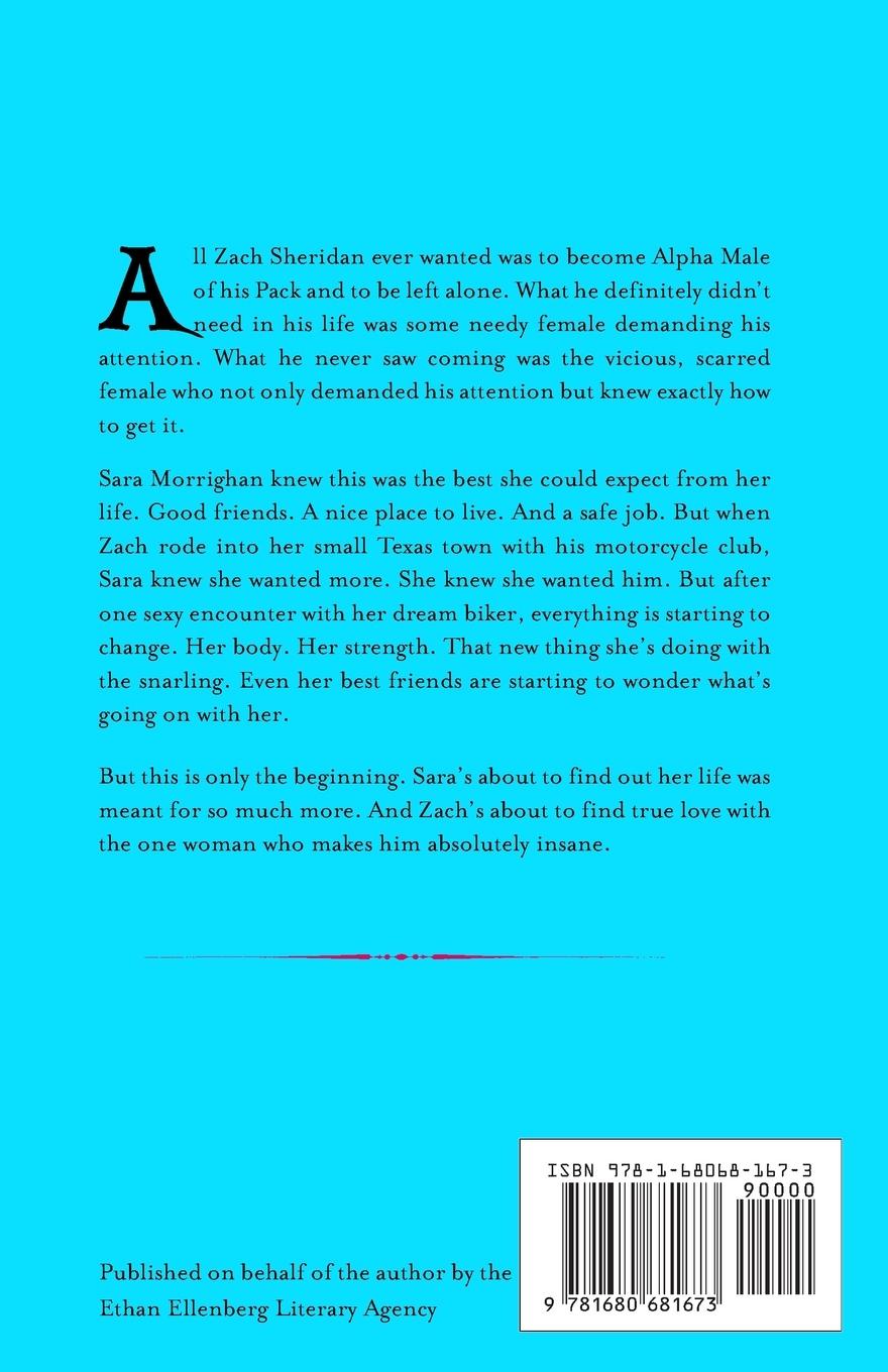 Rückseitencover Pack Challenge