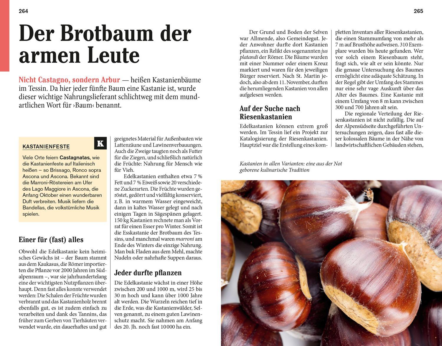 Beispielinhalt (Bild) DuMont Reise-Taschenbuch Reiseführer Tessin