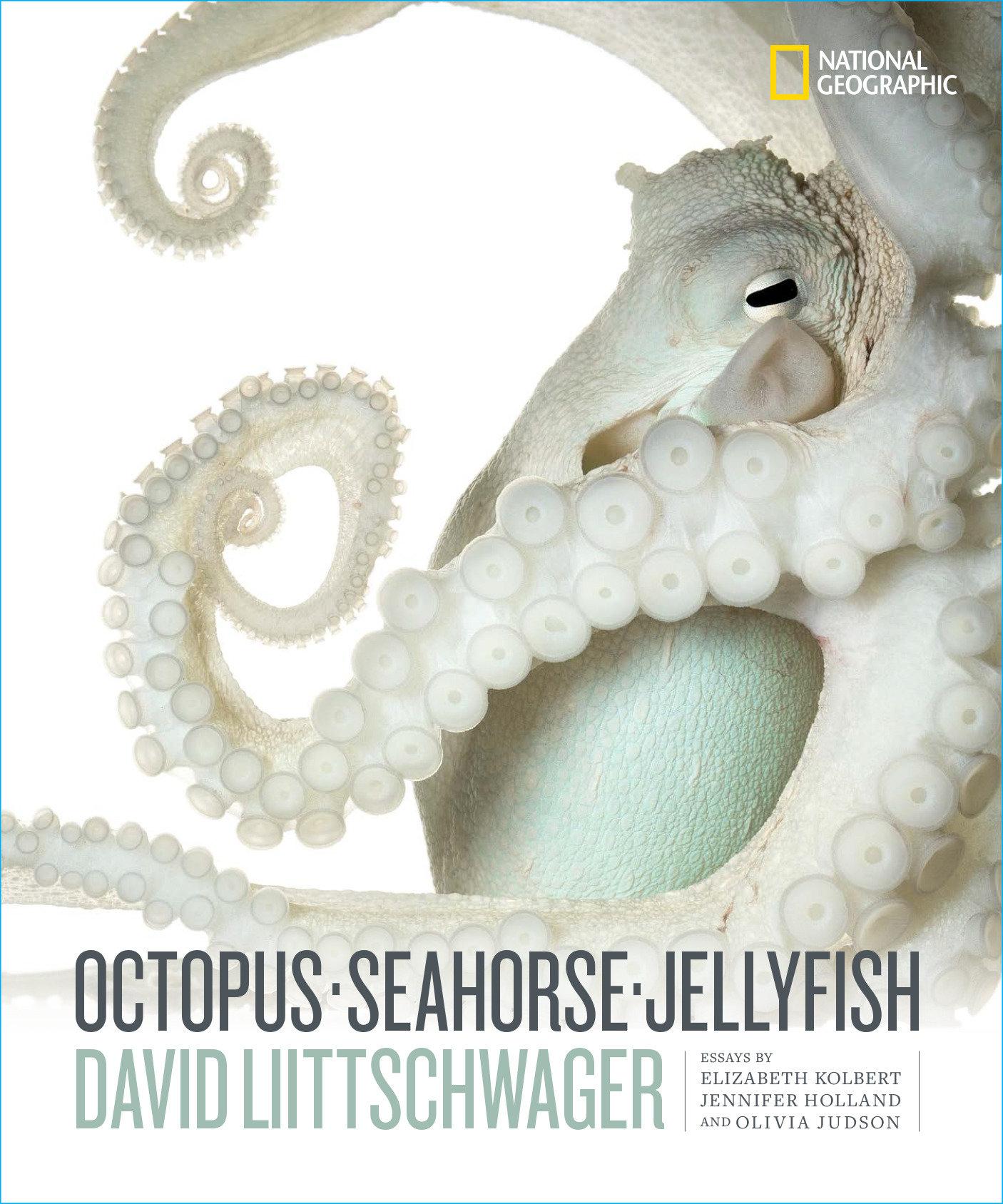 Vorderes Coverbild Octopus, Seahorse, Jellyfish