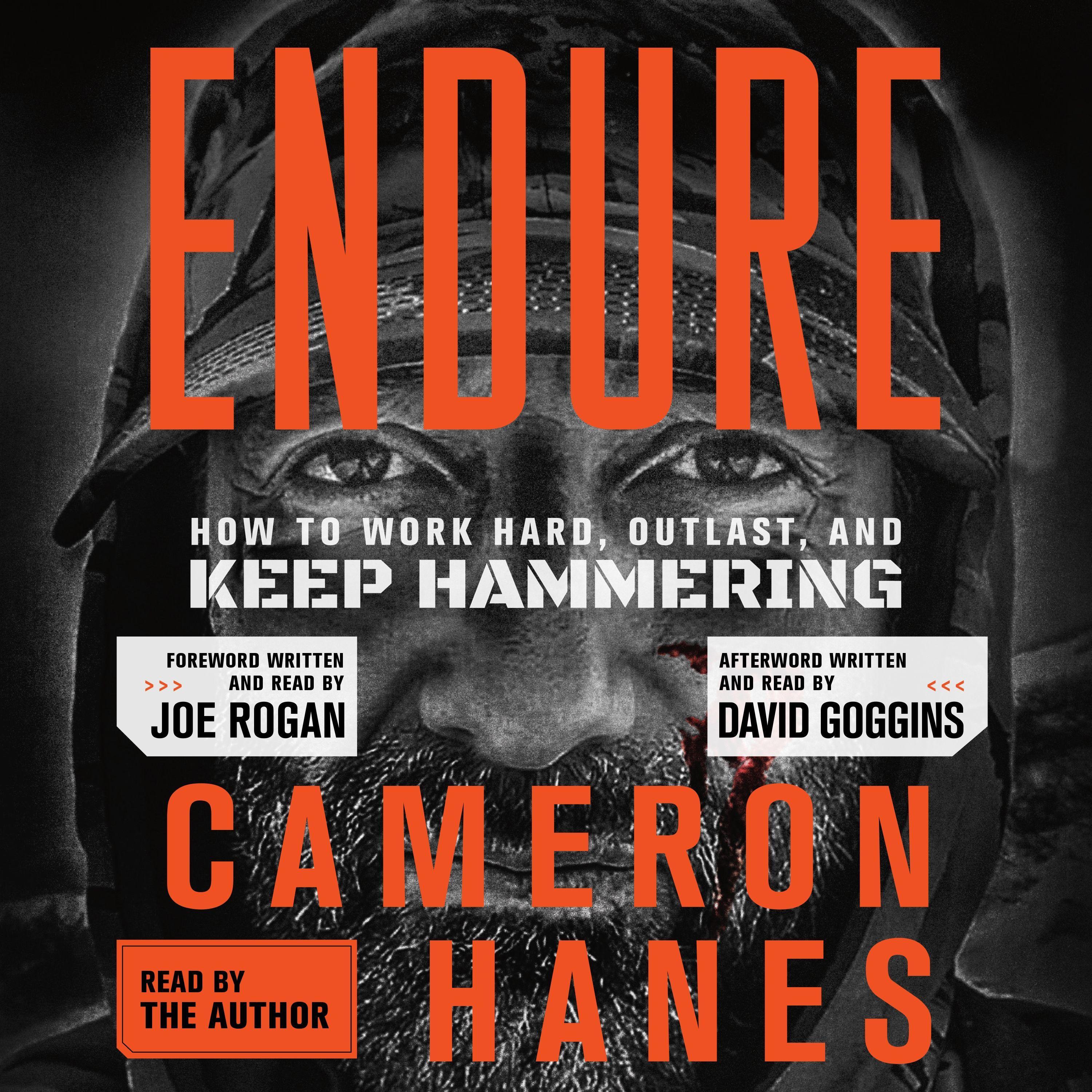 Vorderes Coverbild Endure: How to Work Hard, Outlast, and Keep Hammering