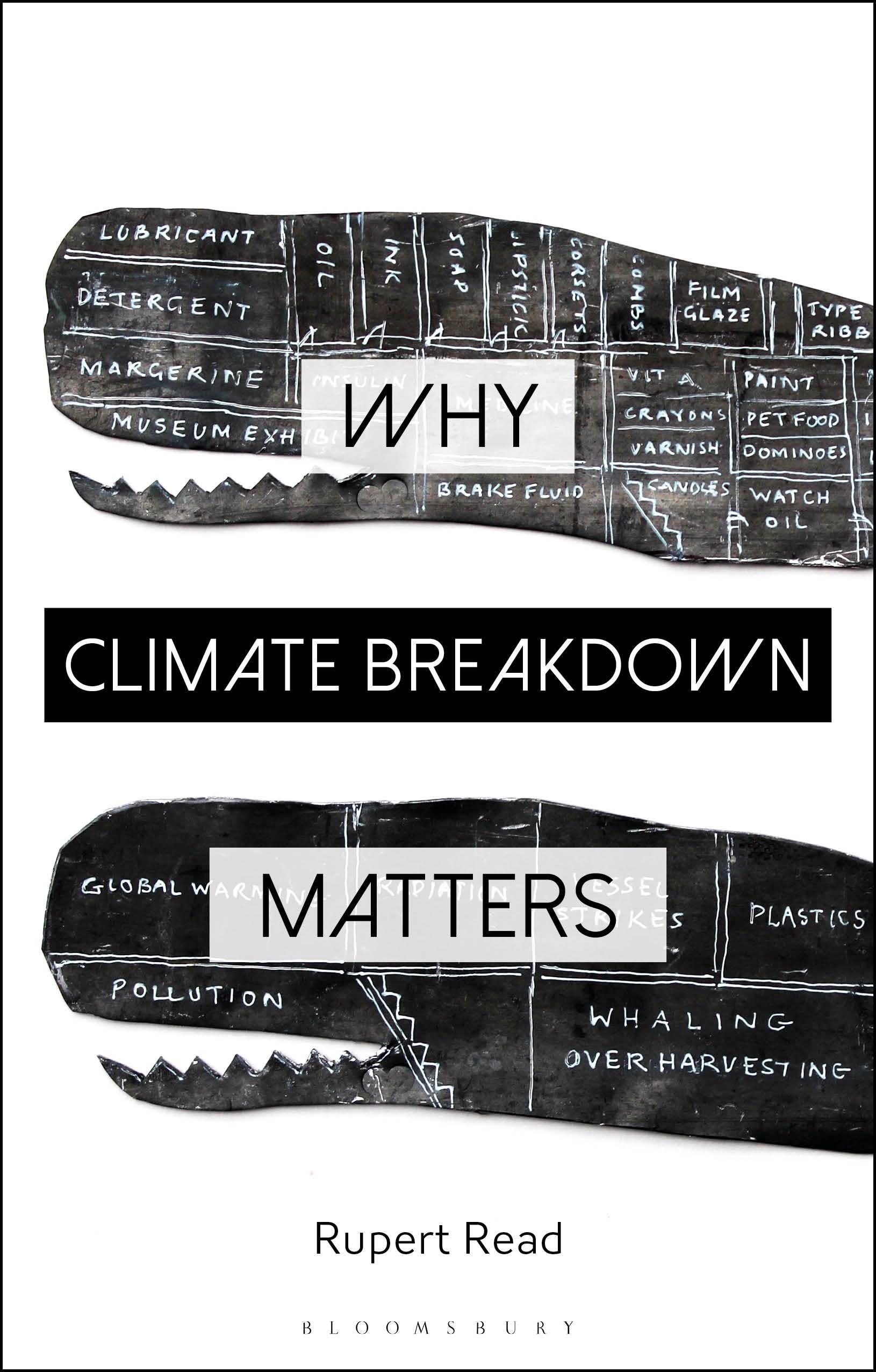 Vorderes Coverbild Why Climate Breakdown Matters