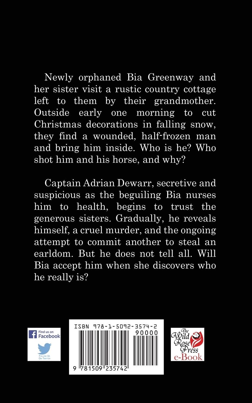 Rückseitencover Found Christmas